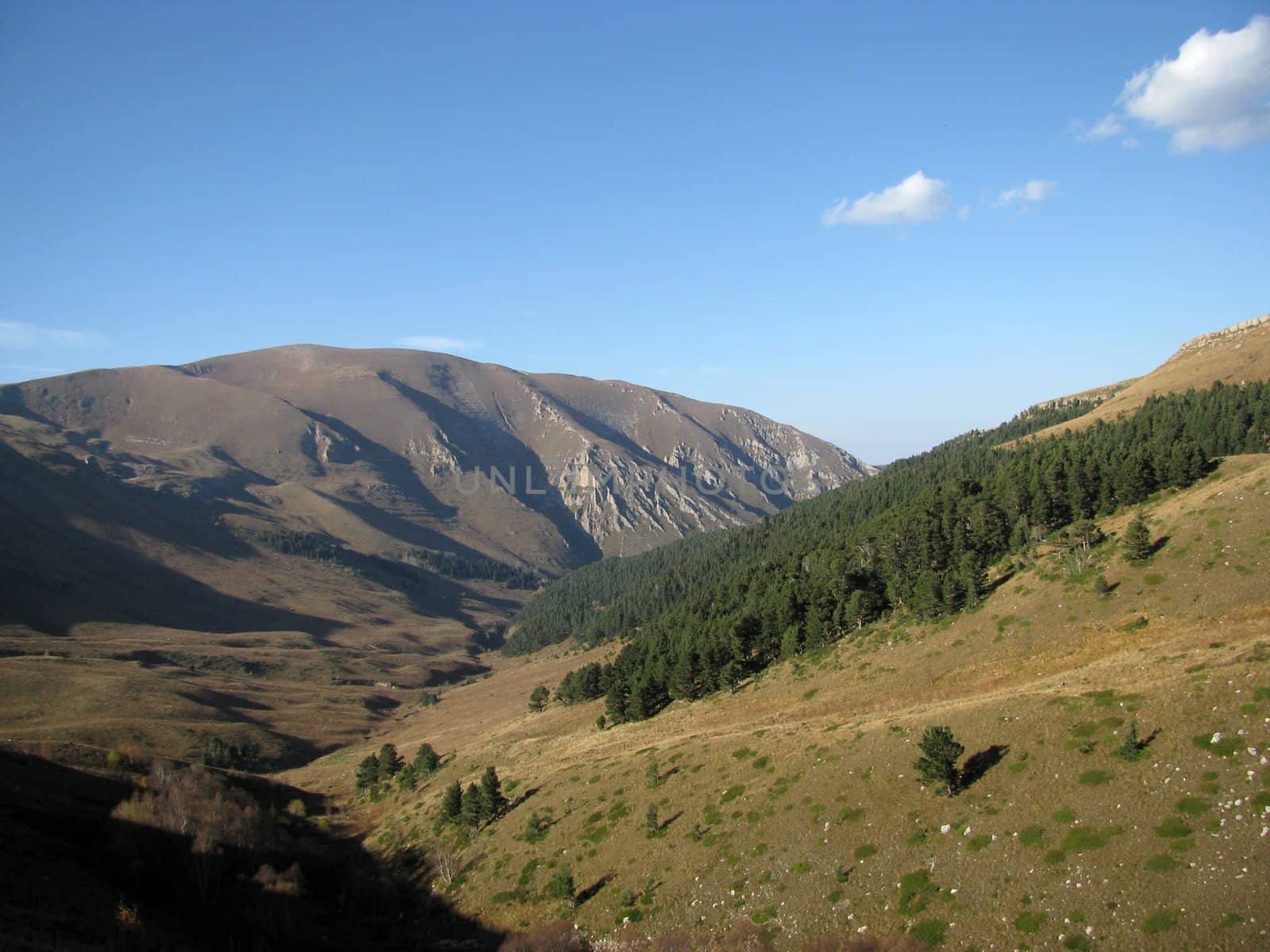 Mountains, caucasus, rocks, a relief, a landscape, wood, the nature, a panorama, a landscape, a ridge, top, breed, the sky, reserve, a background, a kind, a structure, trees, a slope, beauty, bright, a file, clouds, a grass, the Alpine meadows, tourism, travel, rest, gorge, a canyon