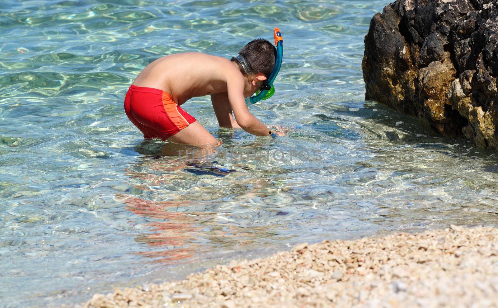Young boy with snorkel hunts crabs and sea star in clear sea by artush