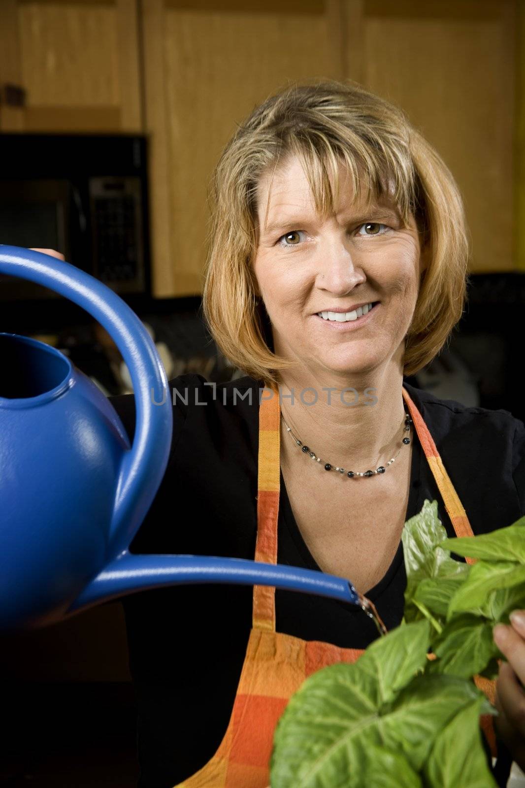 Woman in Kitchen Watering Wearing Apron a Plant