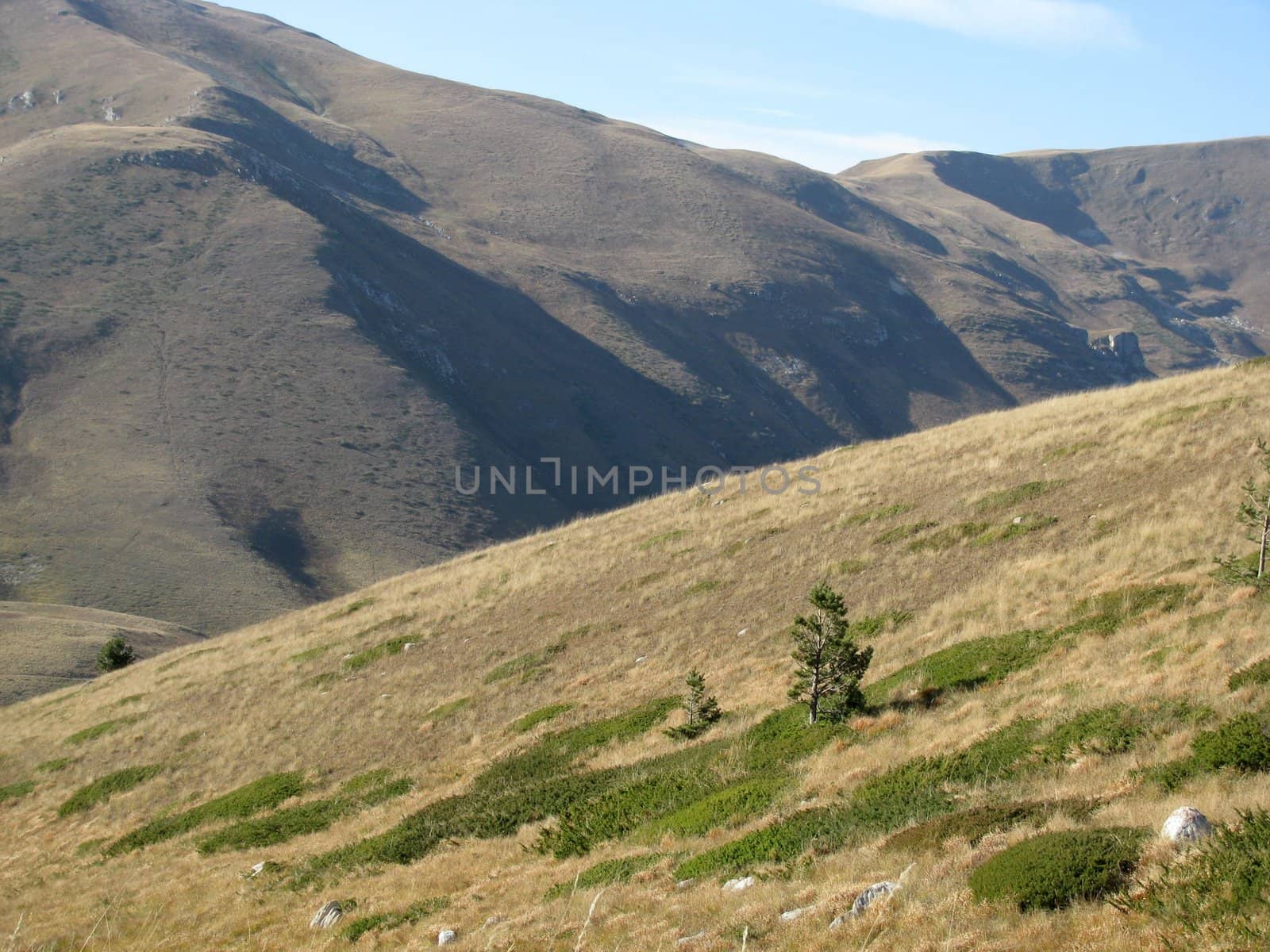 Mountains, caucasus, rocks, a relief, a landscape, wood, the nature, a panorama, a landscape, a ridge, top, breed, the sky, reserve, a background, a kind, a structure, trees, a slope, beauty, bright, a file, clouds, a grass, the Alpine meadows, tourism, travel, rest