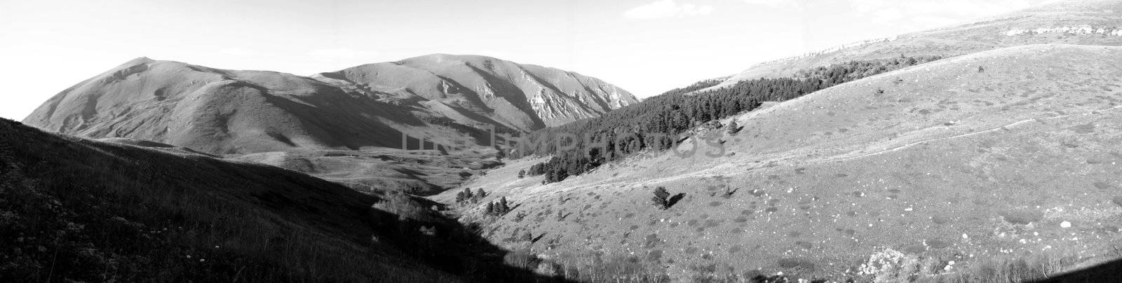 Mountains, caucasus, rocks, a relief, a landscape, wood, the nature, a panorama, a landscape, a ridge, top, breed, the sky, reserve, a background, a kind, a structure, trees, a slope, beauty, black-and-white, a file, a canyon, pass, a channel, a source, the river, hills, tourism, travel, rest