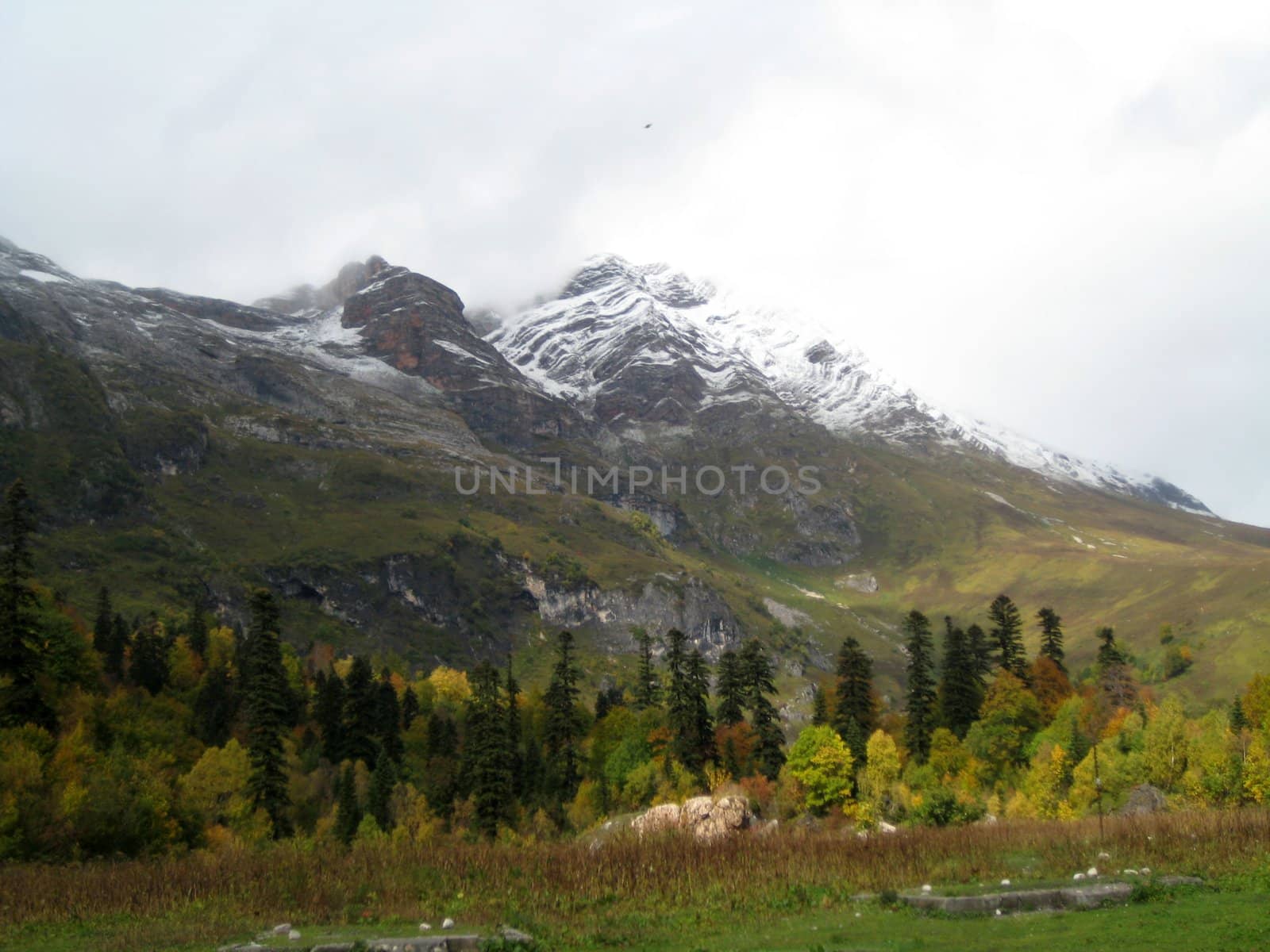 Mountains, caucasus, rocks, a relief, a landscape, wood, the nature, a panorama, a landscape, a ridge, top, breed, the sky, reserve, a background, a kind, a structure, trees, a slope, beauty, clouds, a file, pass, a hill, tourism, travel, rest, snow, a glade