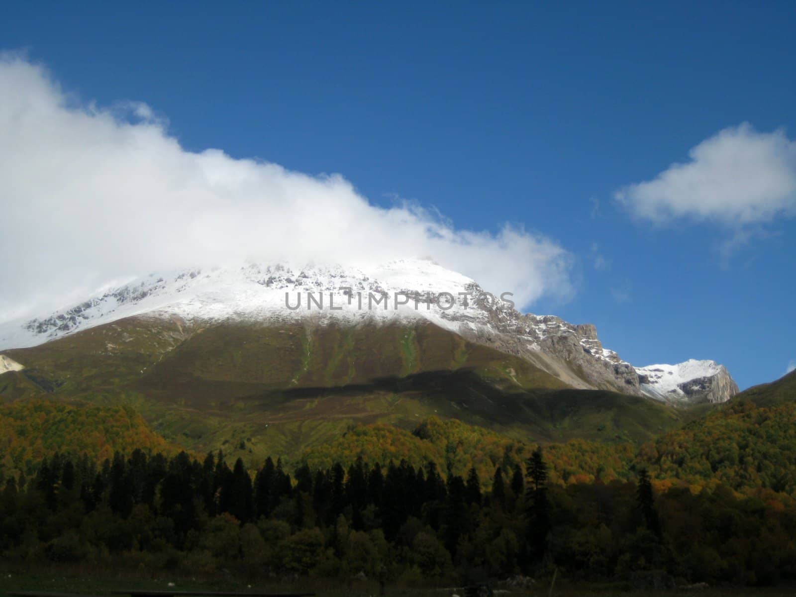 Mountains, caucasus, rocks, a relief, a landscape, wood, the nature, a panorama, a landscape, a ridge, top, breed, the sky, reserve, a background, a kind, a structure, trees, a slope, beauty, clouds, a file, pass, a hill, tourism, travel, rest, snow