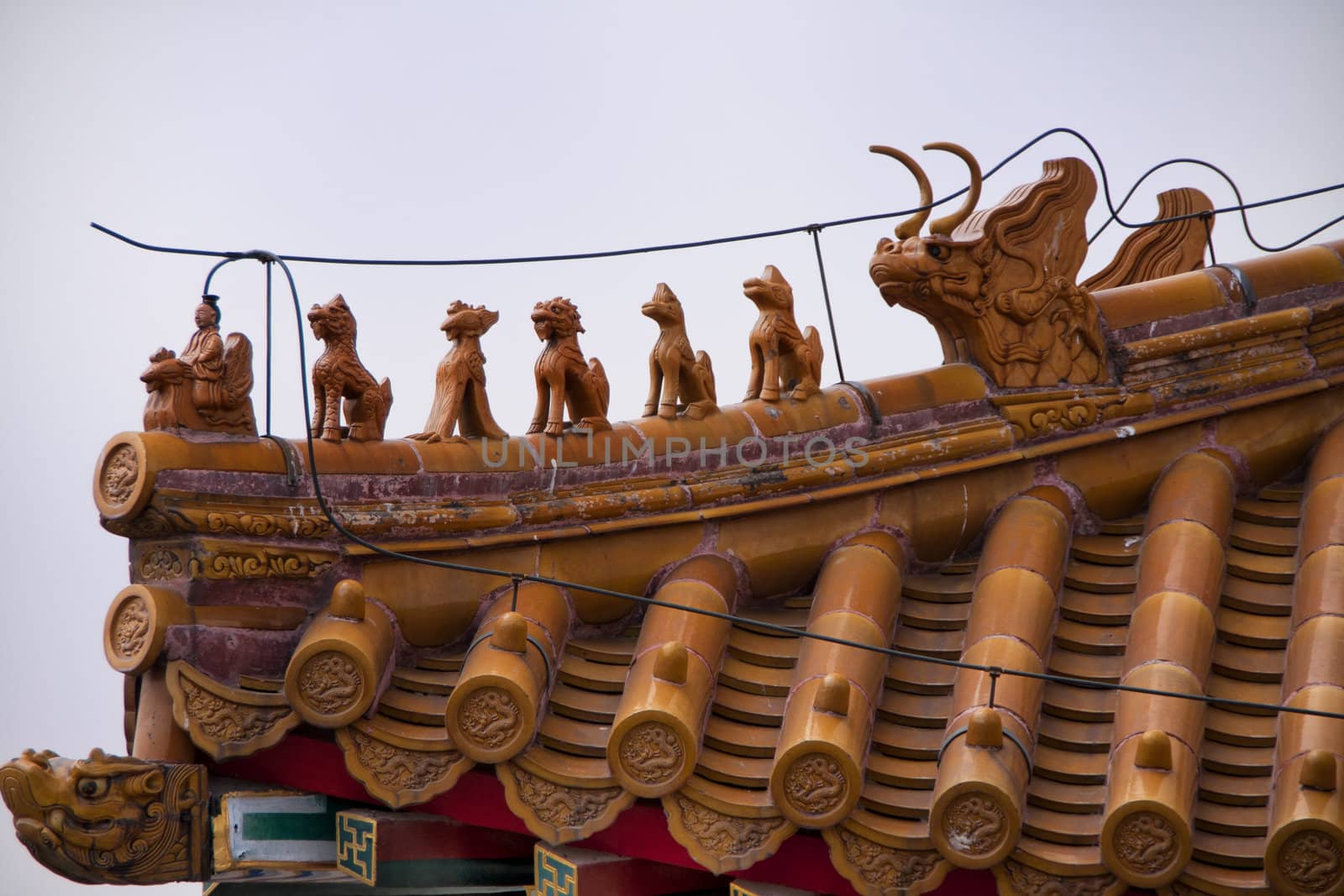 Beijing Forbidden City: detail of roof. by Claudine