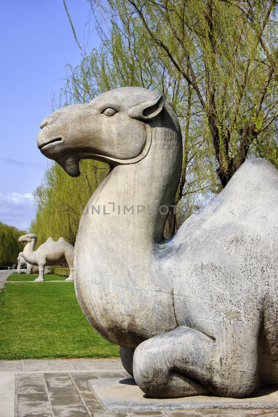 Ming Tombs: sitting camel. by Claudine