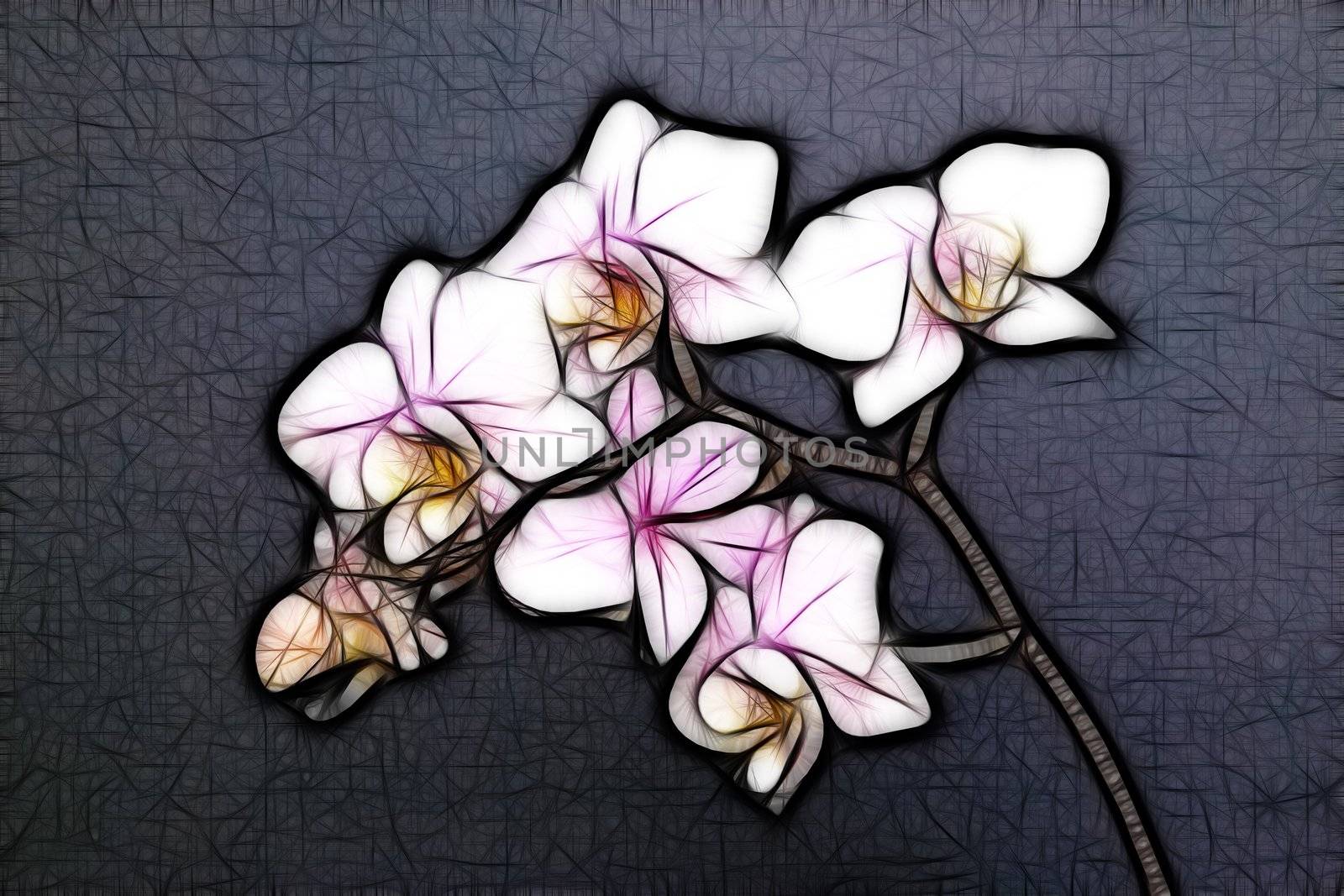 An artistic impression of a minature orchid spray.