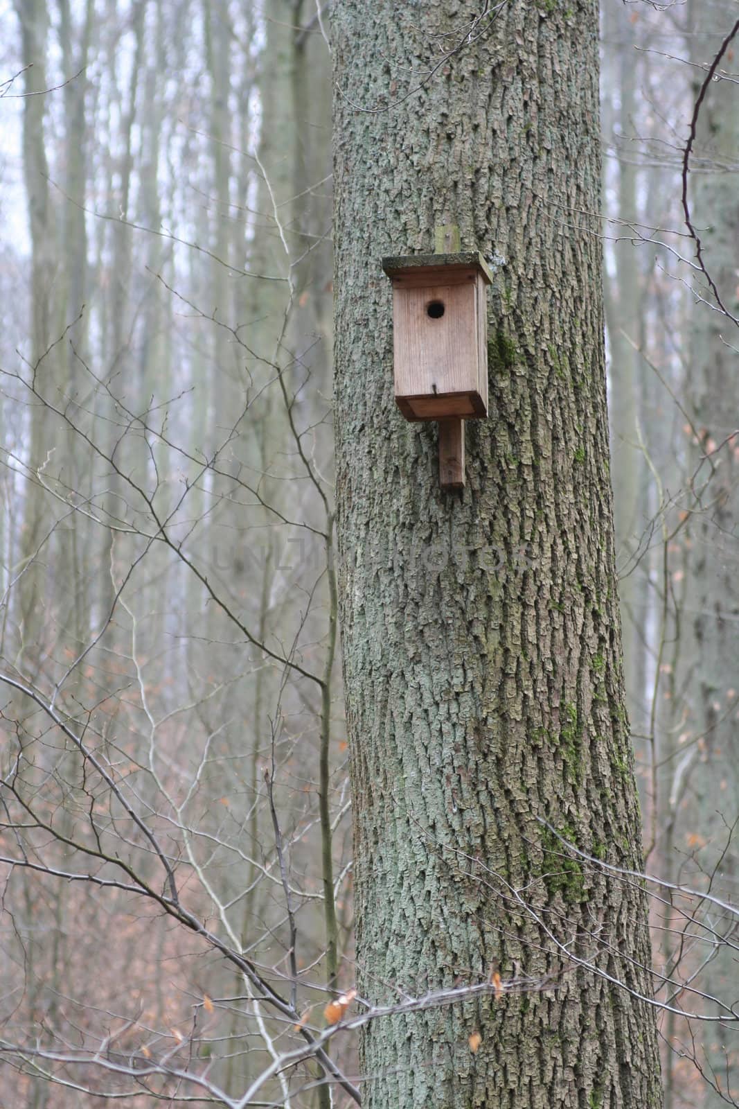 Nestbox for birds in forest