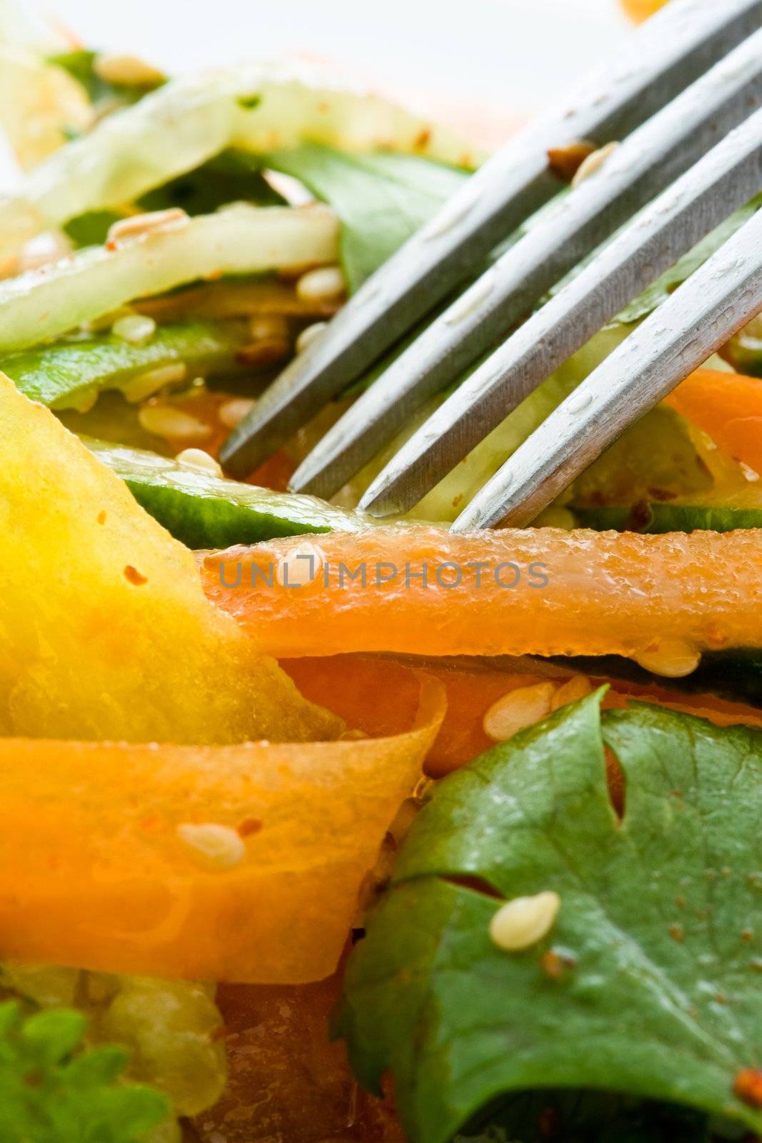 Salad from fresh vegetables with the fork close up
