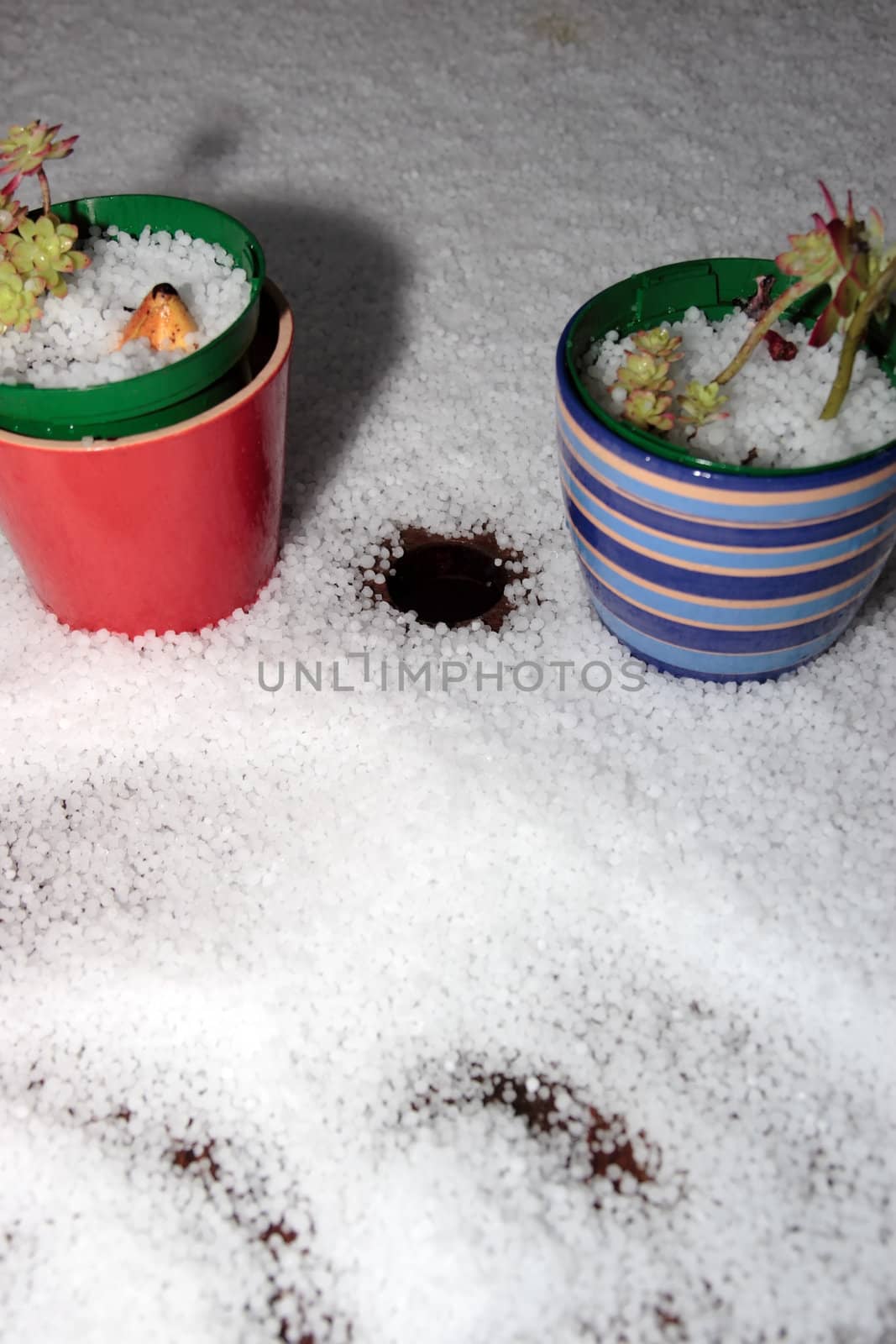 the ground after a winters hailstone shower
