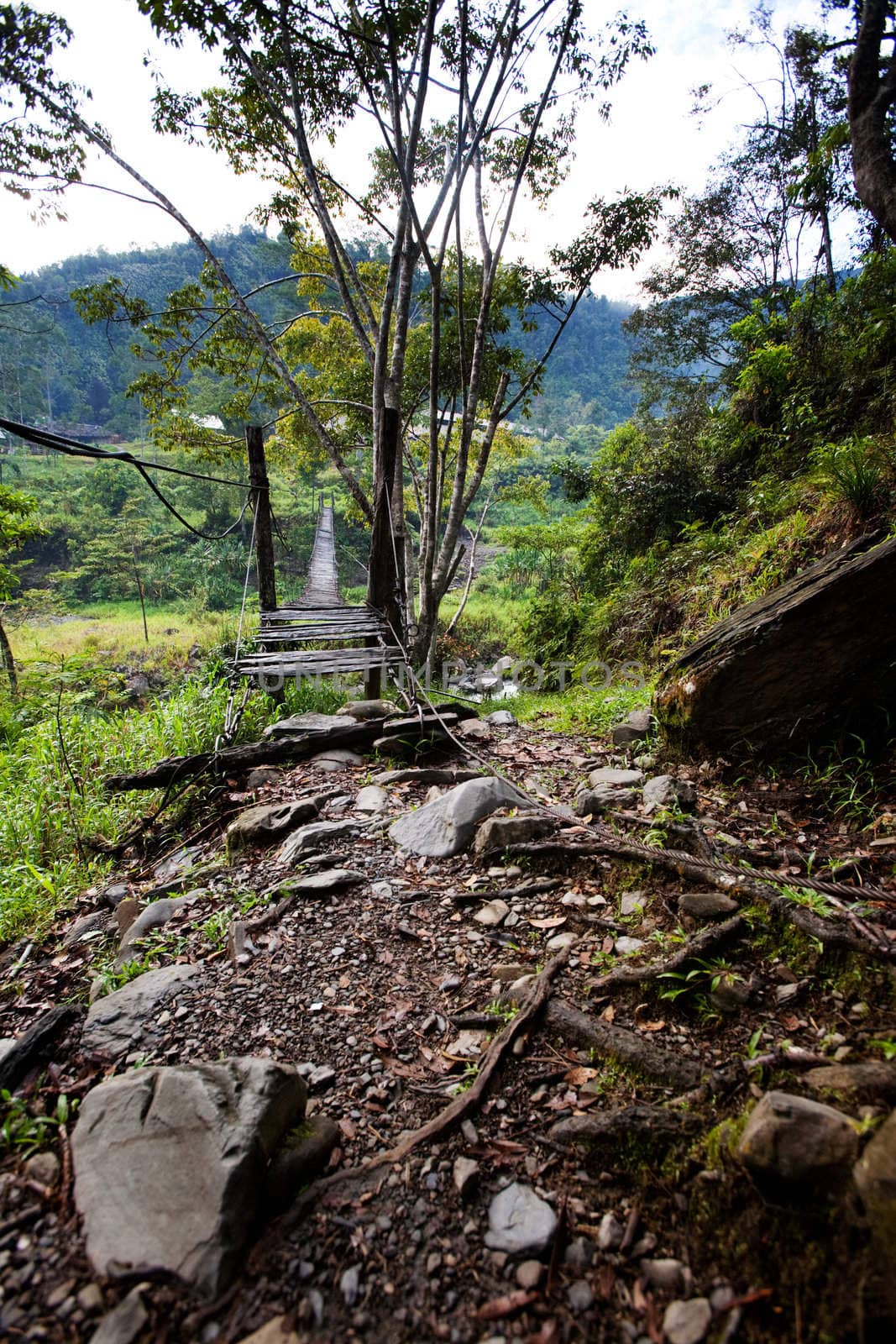 A scary hanging bridge in a tropical landscape