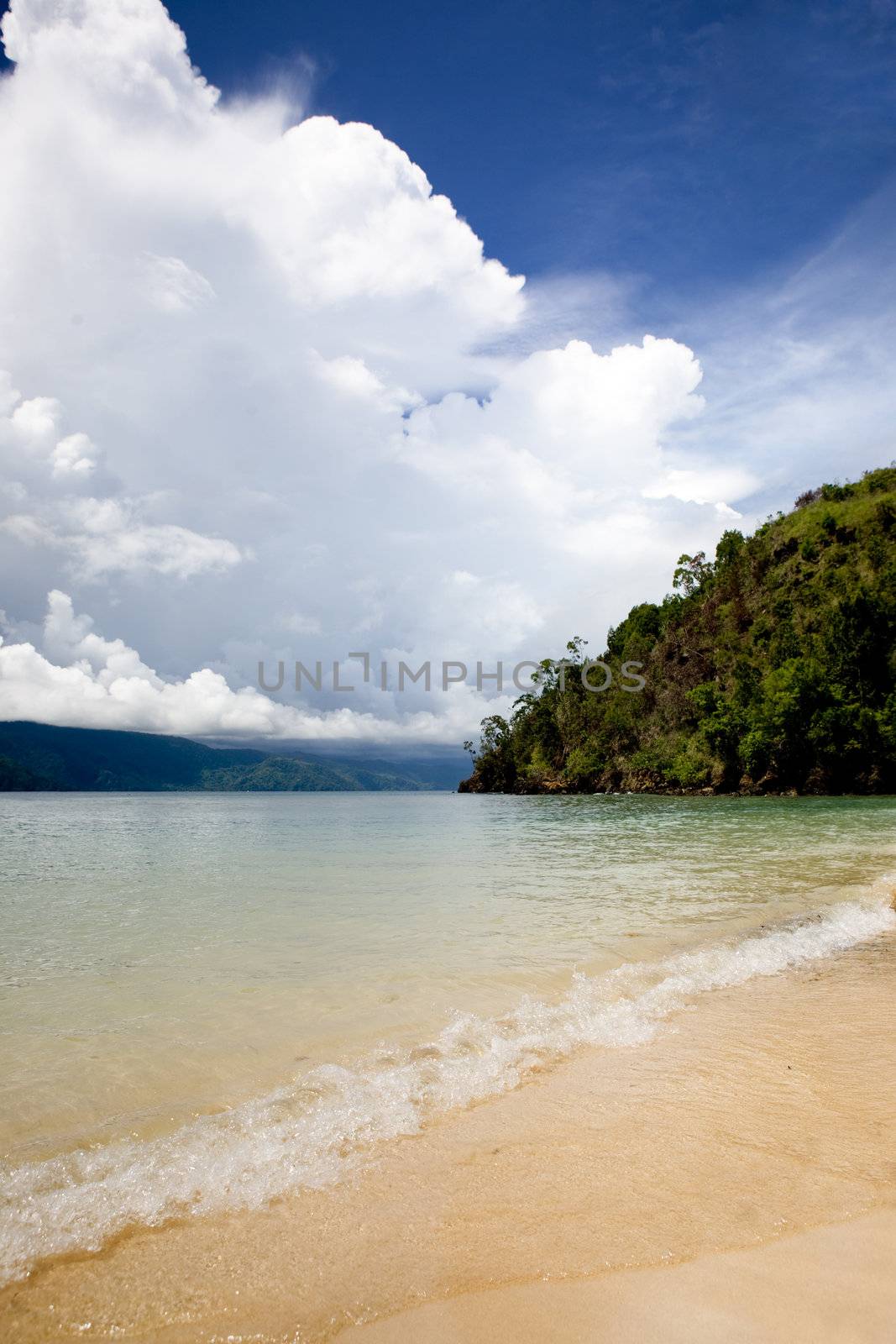 Tropical Beach by leaf