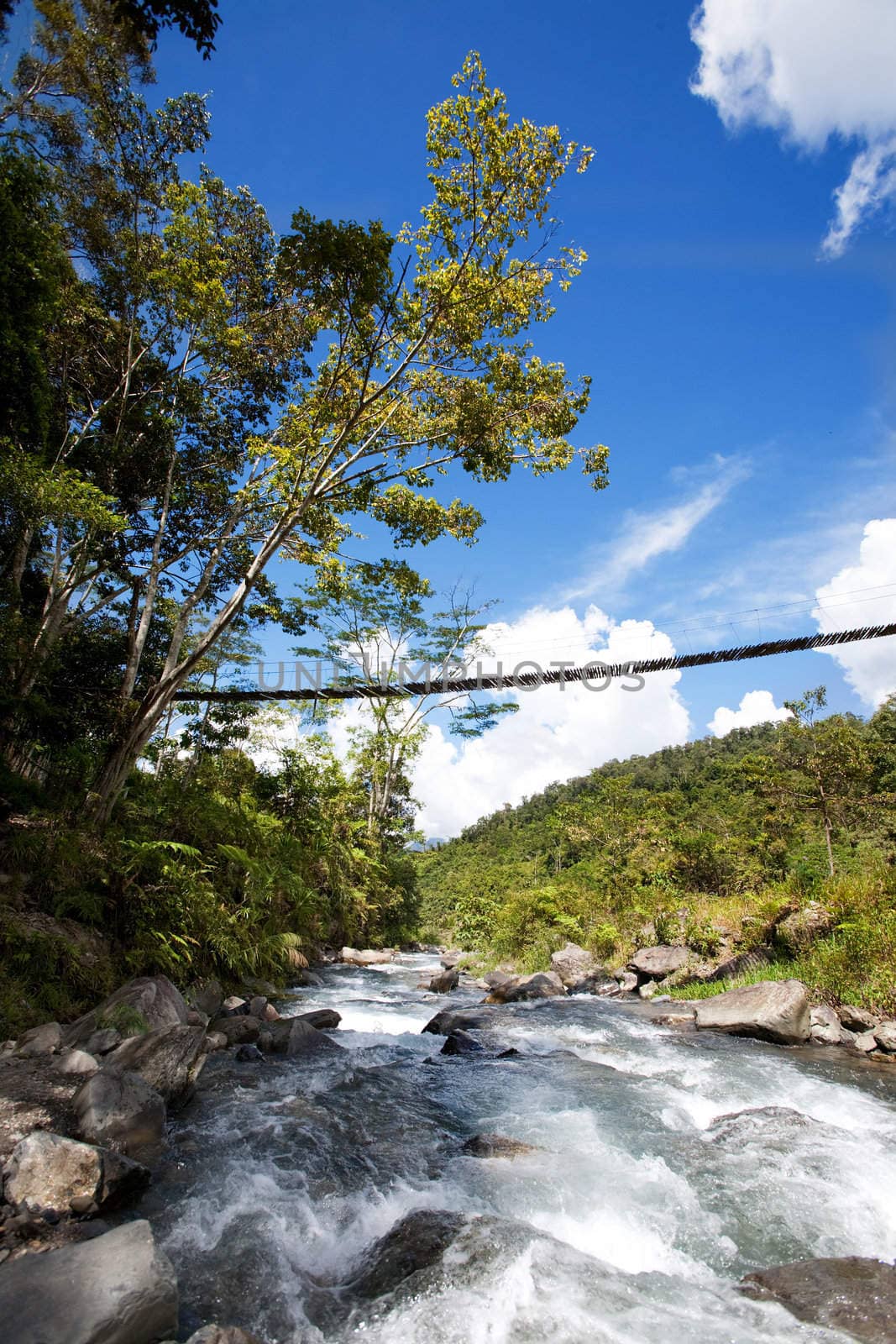 A tropical mountain stream with hanging bridge