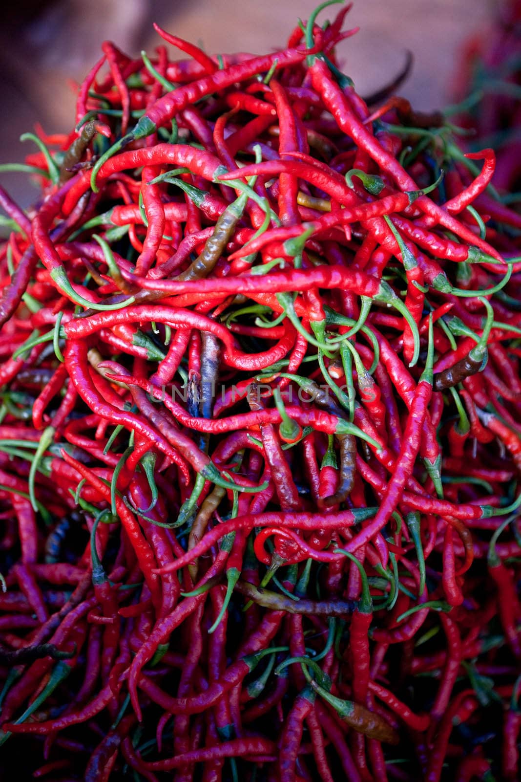A stack of red chili peppers