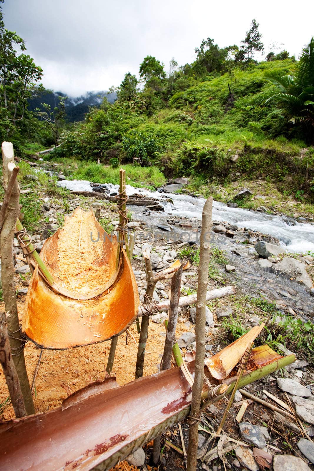 Primative yet usefull tools for making sago, a staple food in Papua New Guinea and Indonesia