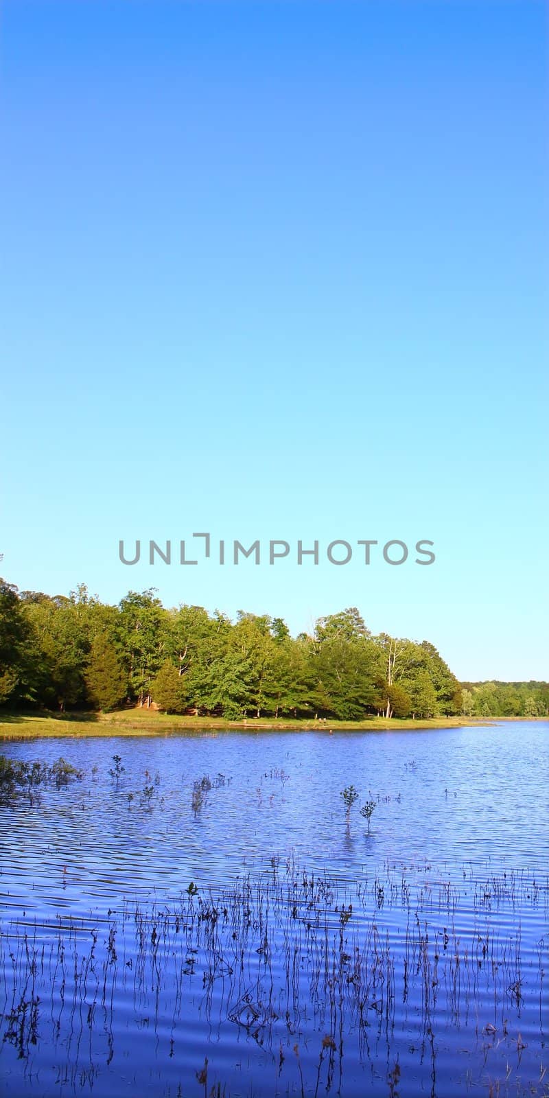 Tishomingo State Park - Mississippi by Wirepec