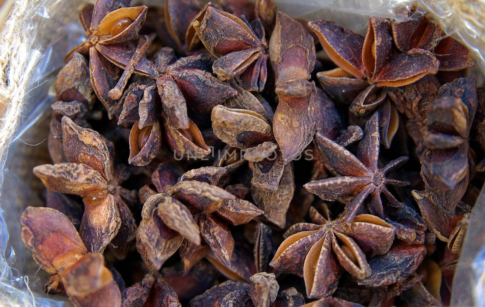 star anise by FotoFrank