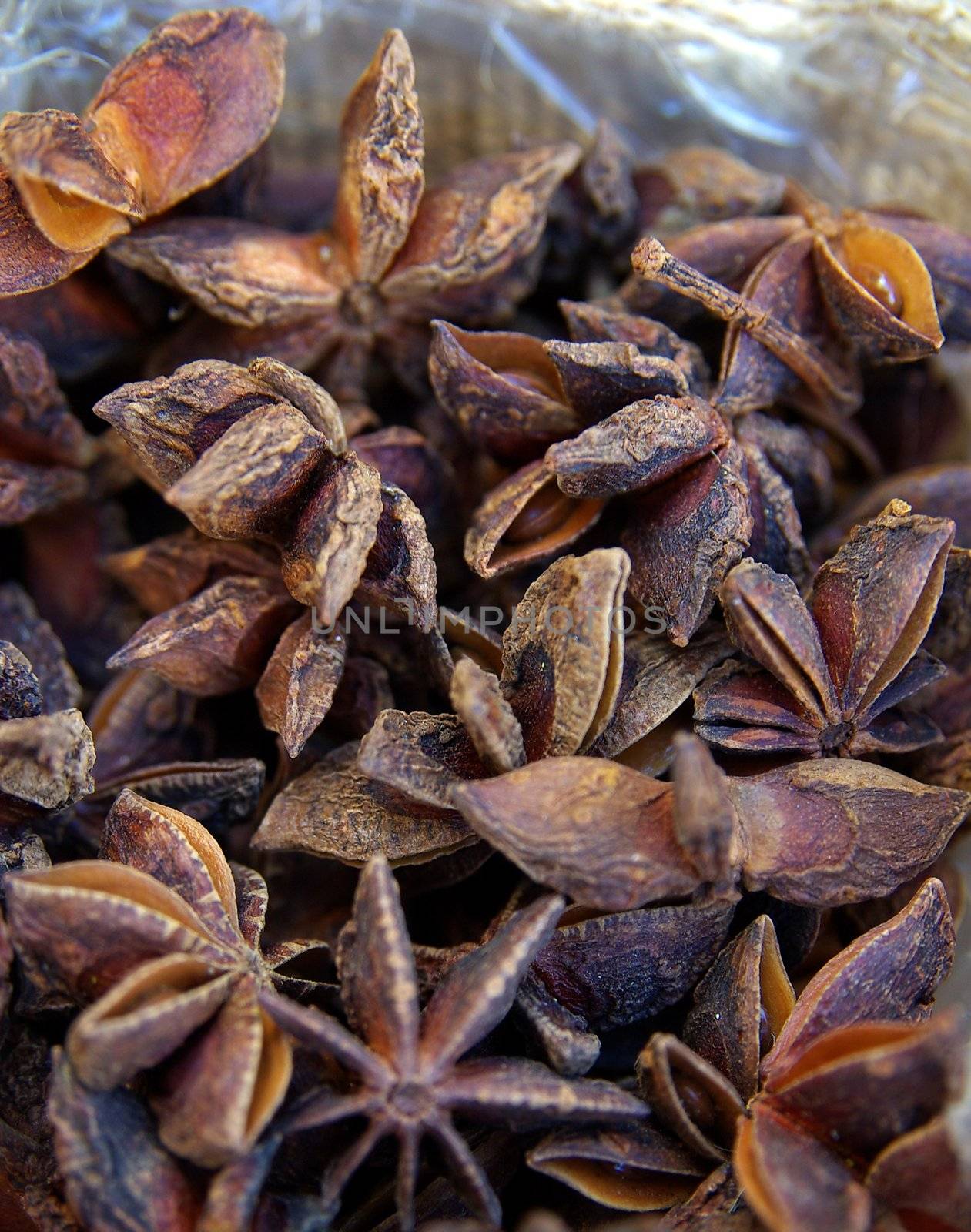 star anise by FotoFrank