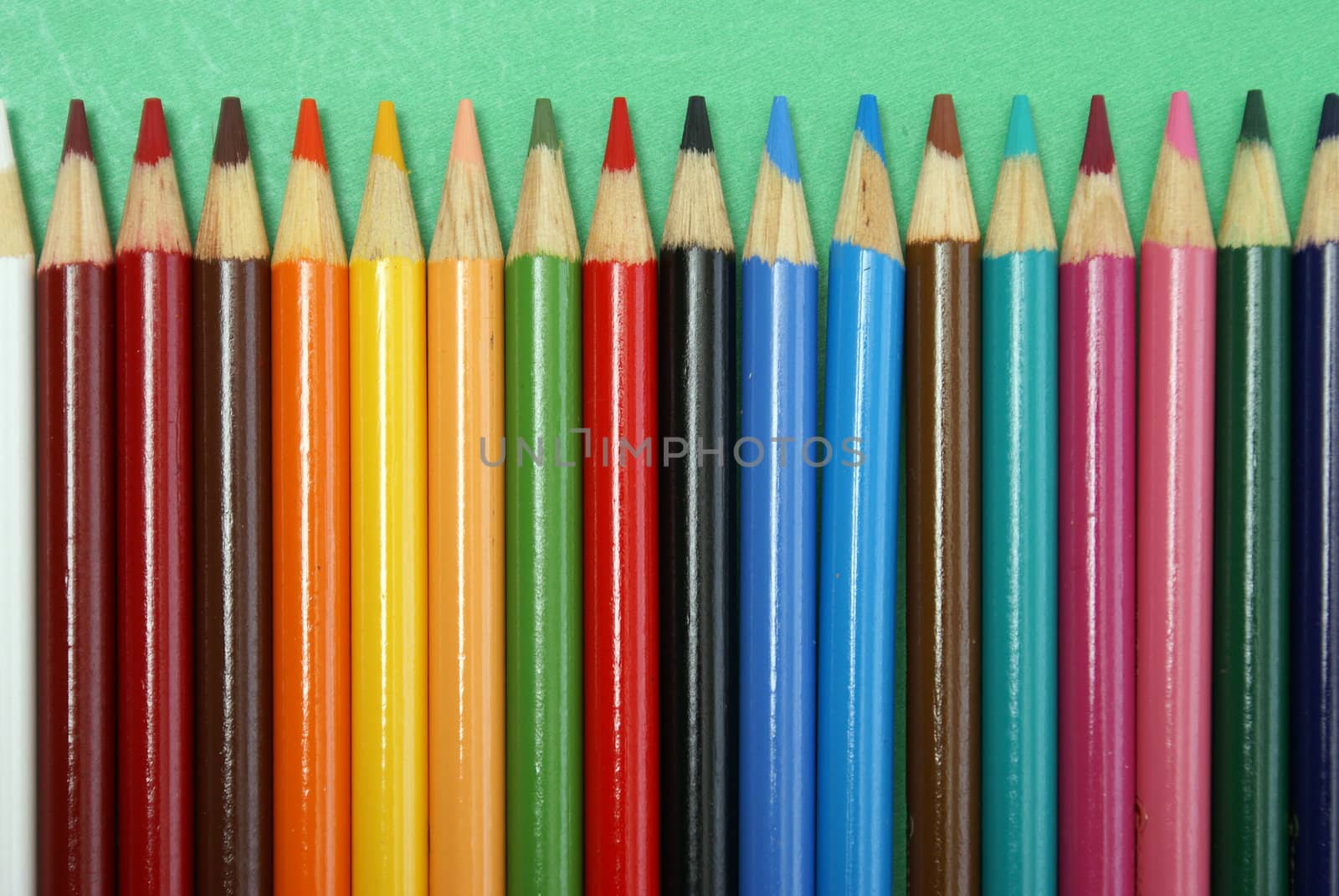 A row of various colored pencil crayons.