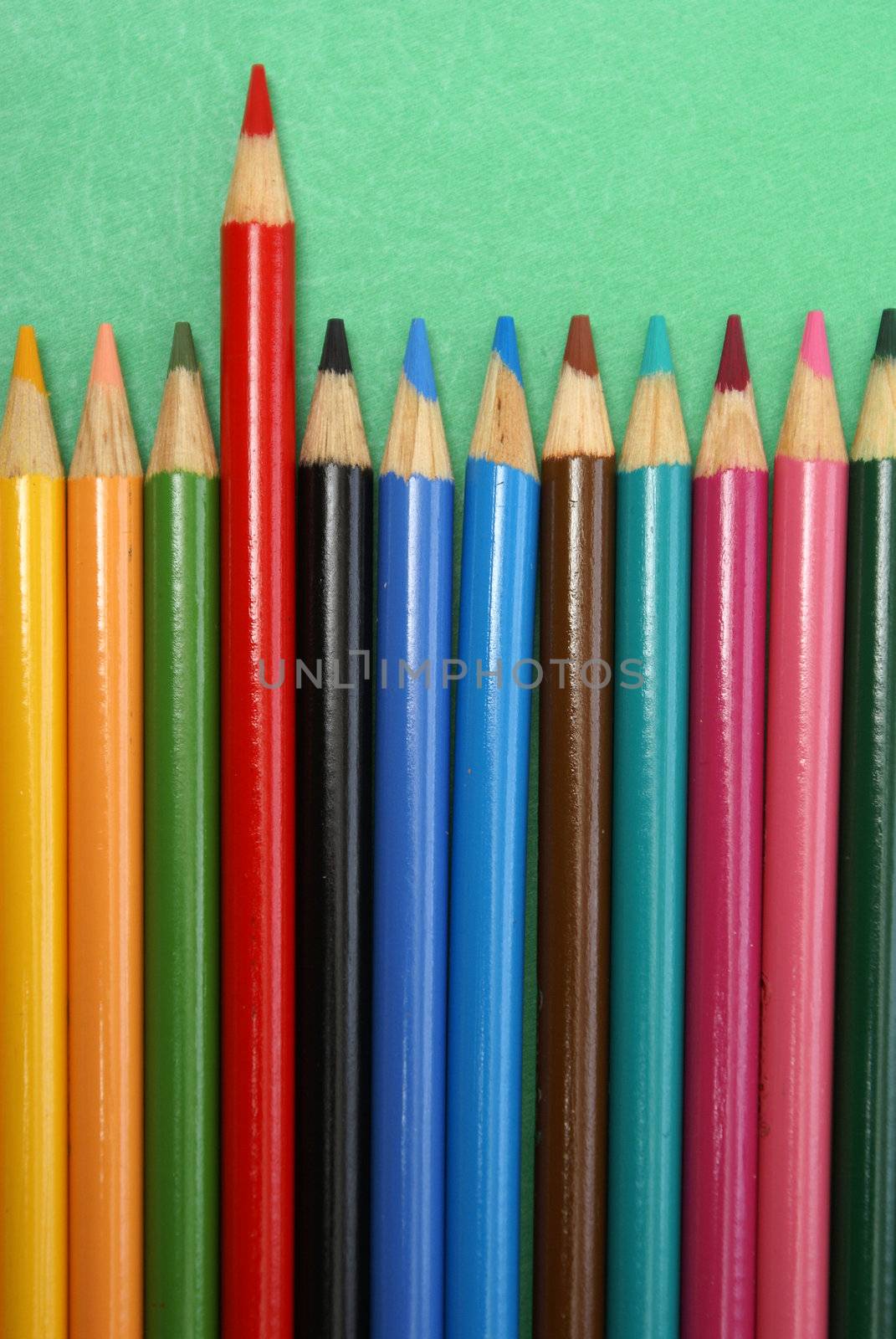 A row of pencil crayons with a red one standing out from the crowd.
