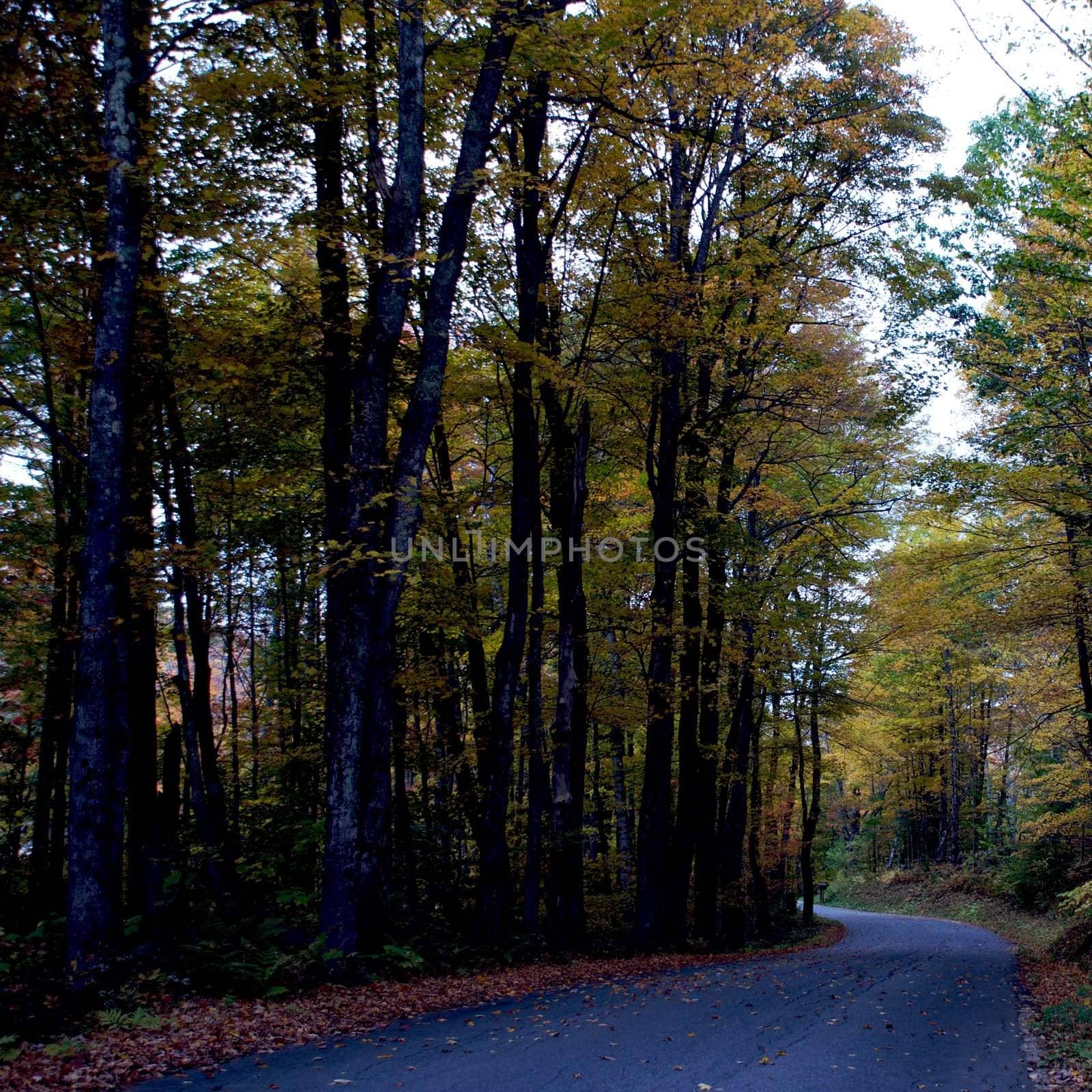 Ludlow, Vermont by jedphoto