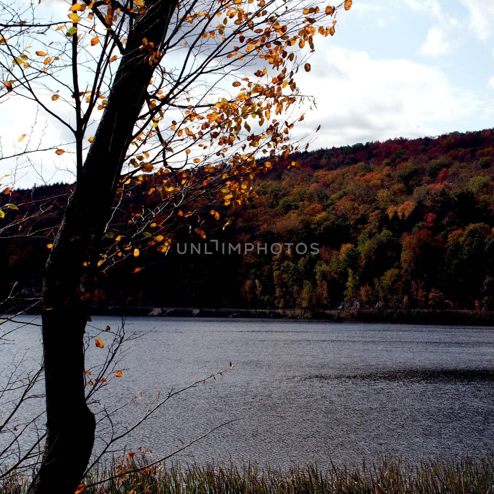 Small town of Ludlow Vermont during foliage season