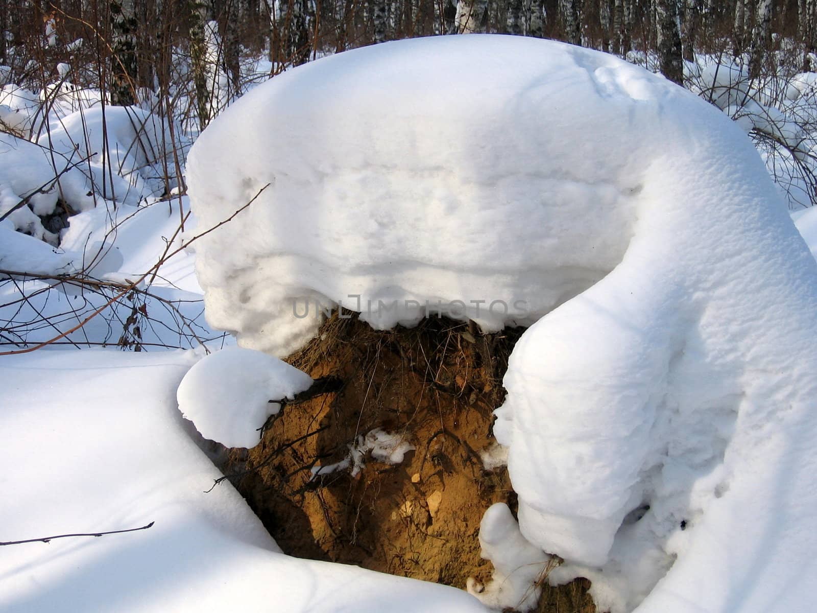 Large snowdrift in forest after long snowfall