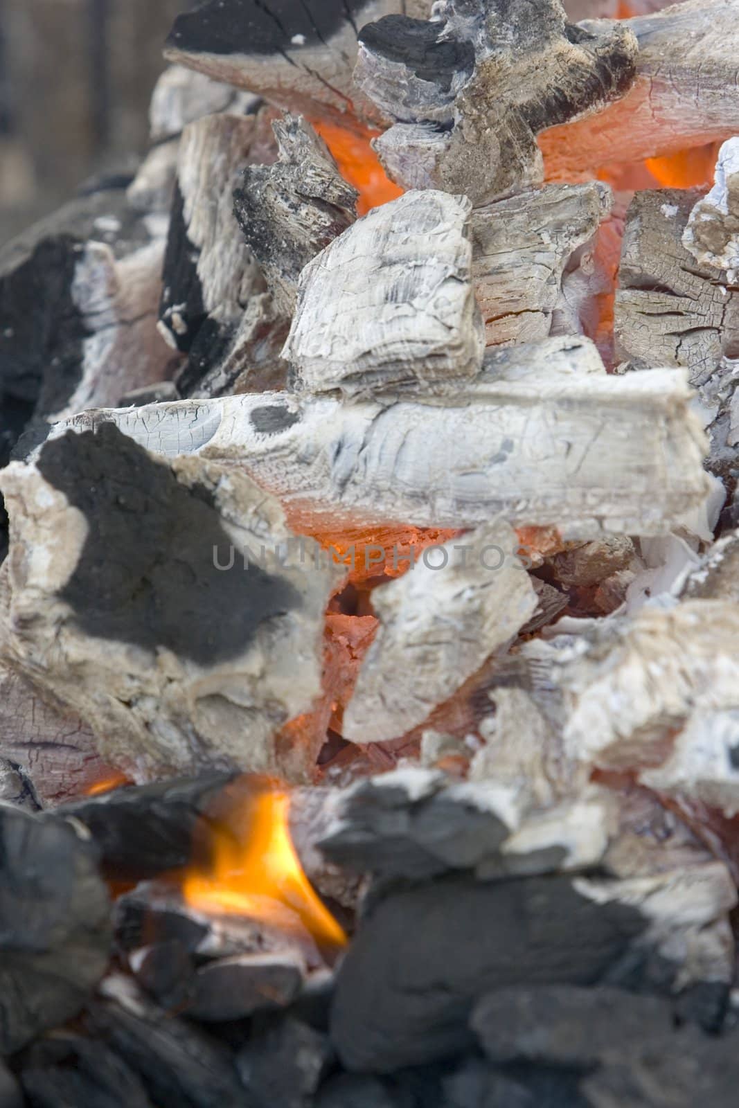 food cooking barbecue by Trebuchet