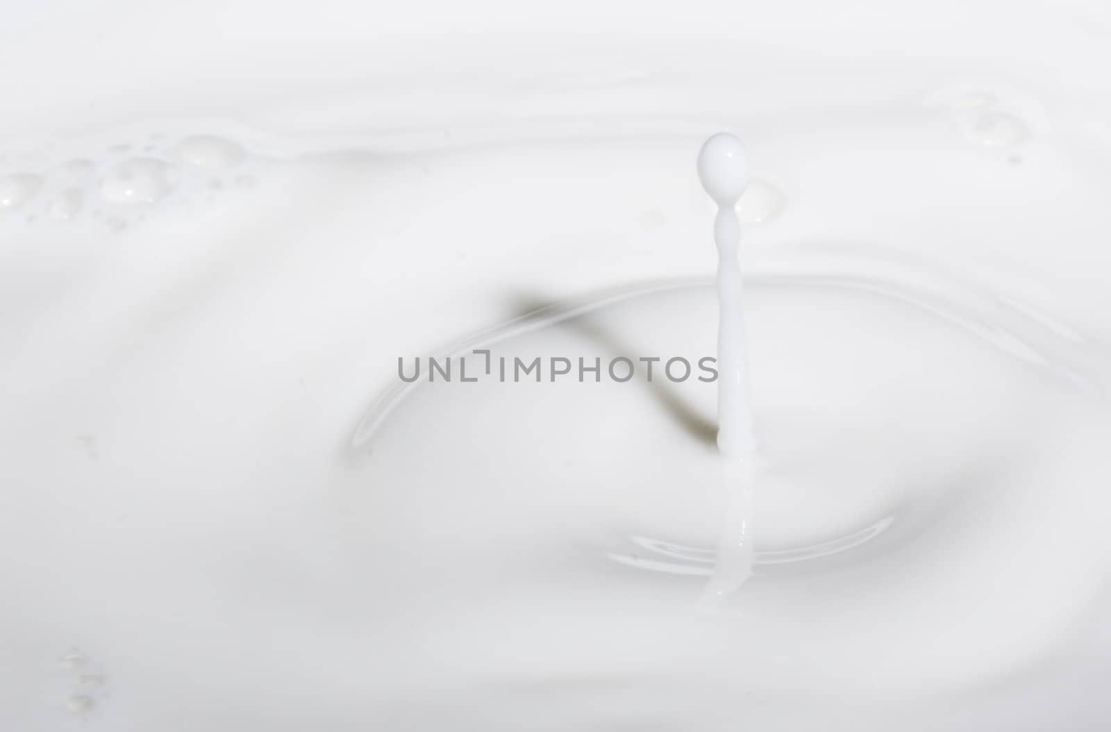 a drop splash of withe liquid or milk