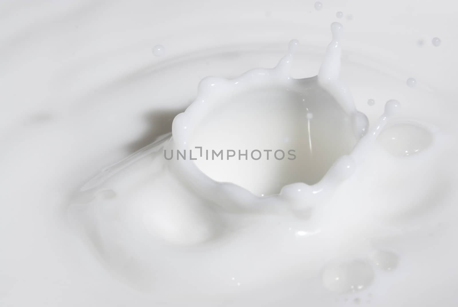 a drop splash of withe liquid or milk