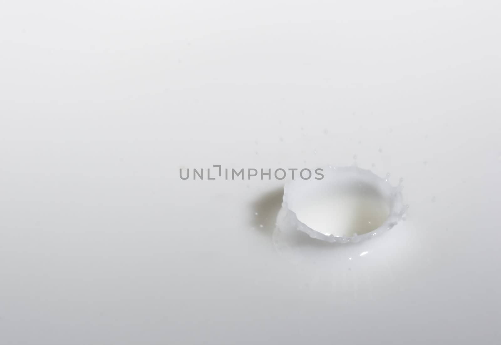 a drop splash of withe liquid or milk