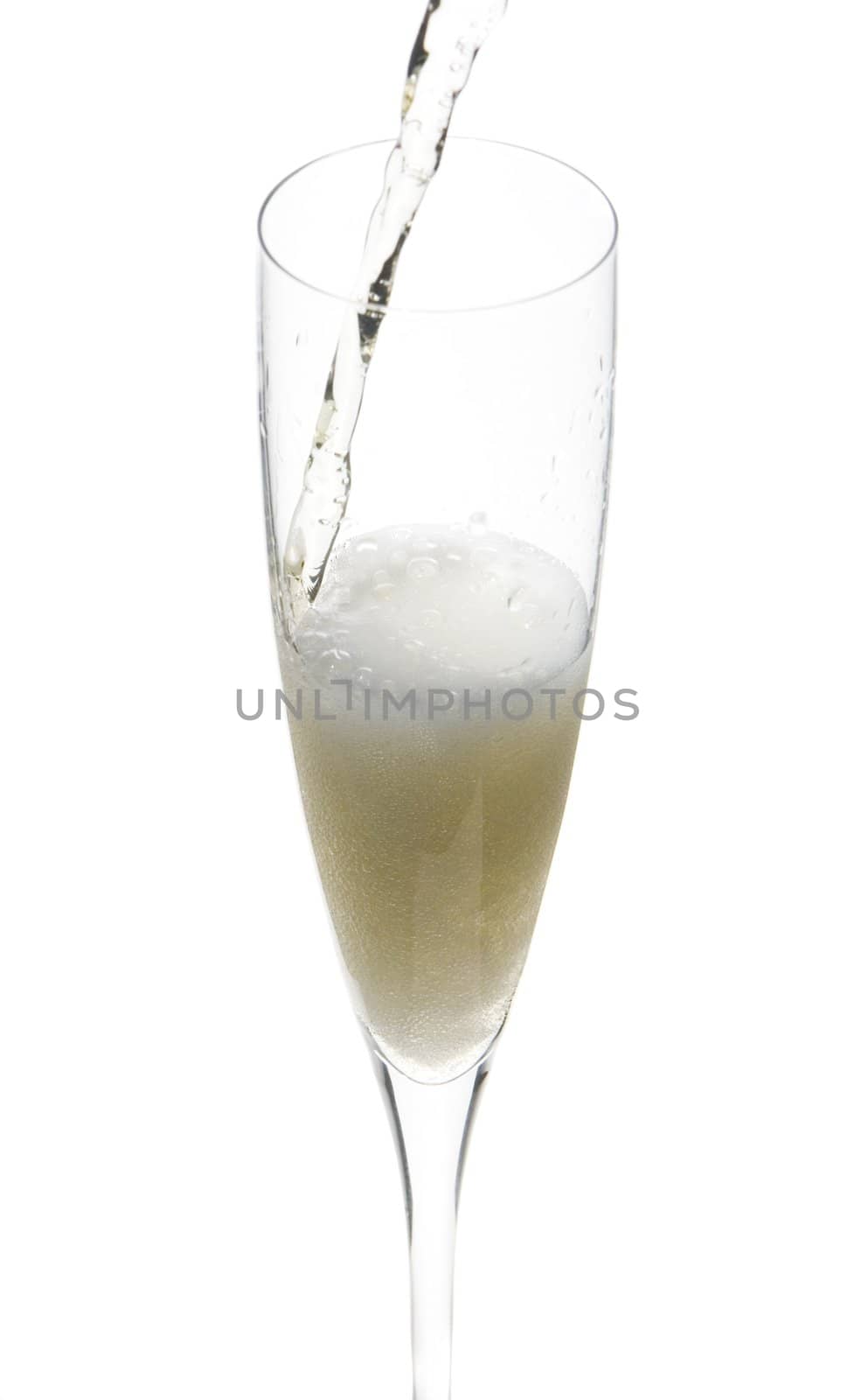 close up of an isolated glass cup of champagne