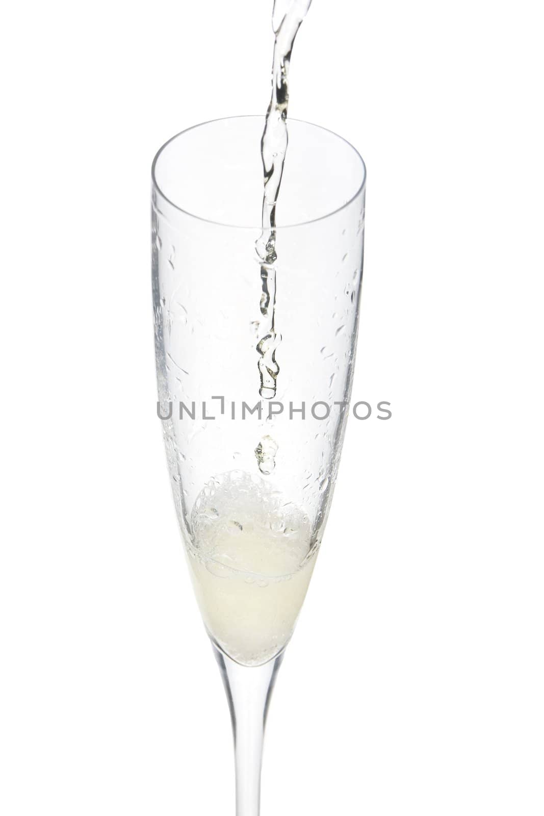 close up of an isolated glass cup of champagne