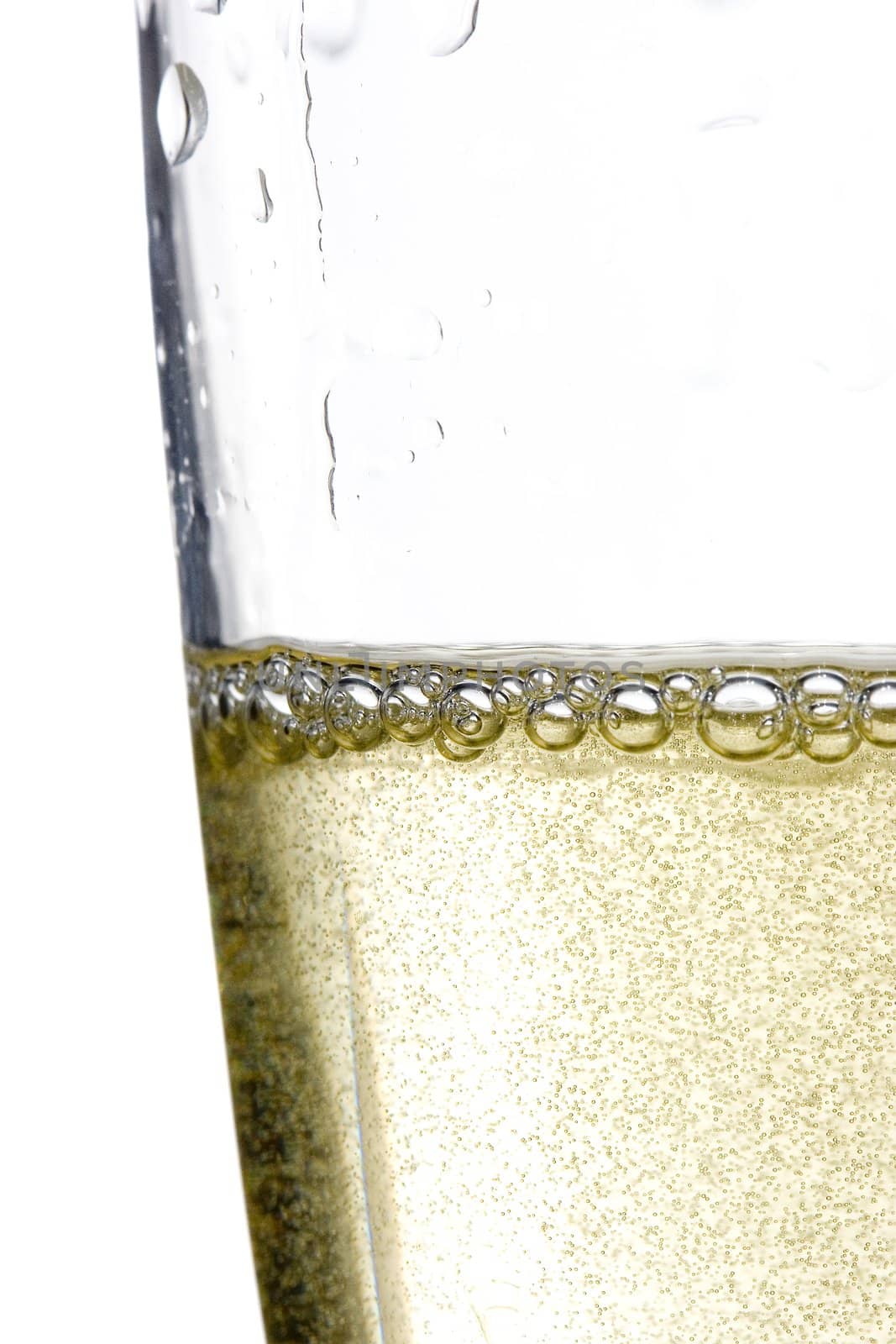 close up of an isolated glass cup of champagne