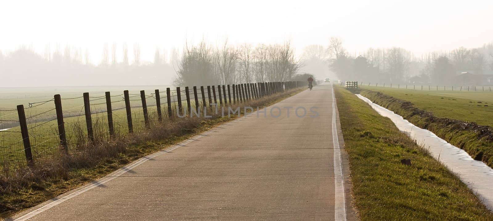 Long straight polderroad on misty winterday
