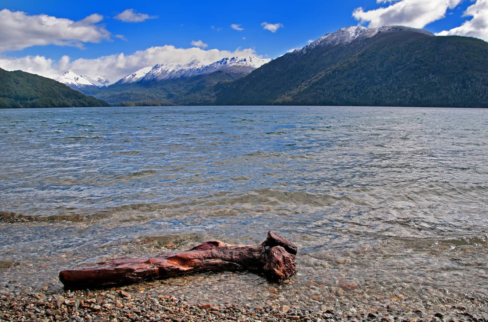 Washed up log at Lago (Lake) Nahuel Huap in Argentina