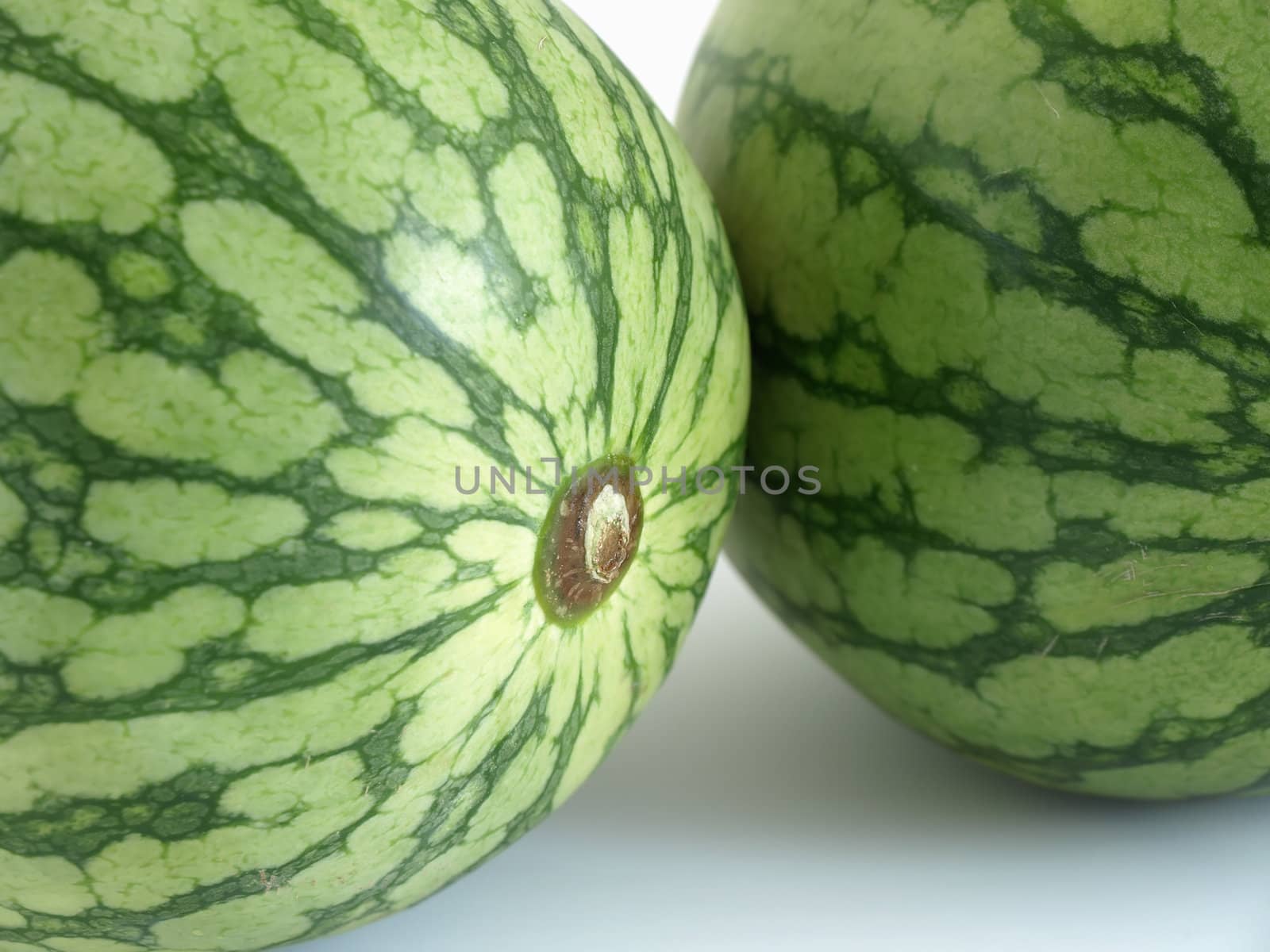 Close up shot of two isolated green watermelons studio isolated against a white background.