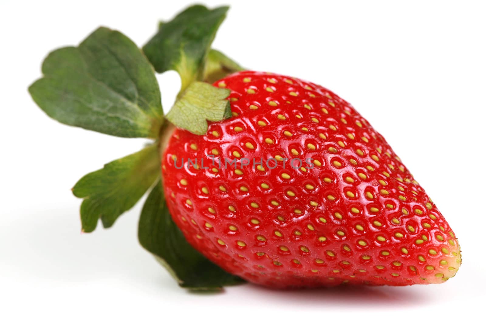 One delicious red strawberry isolated
