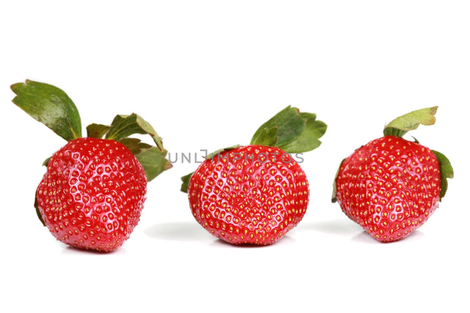 Three red strawberries in a row isolated