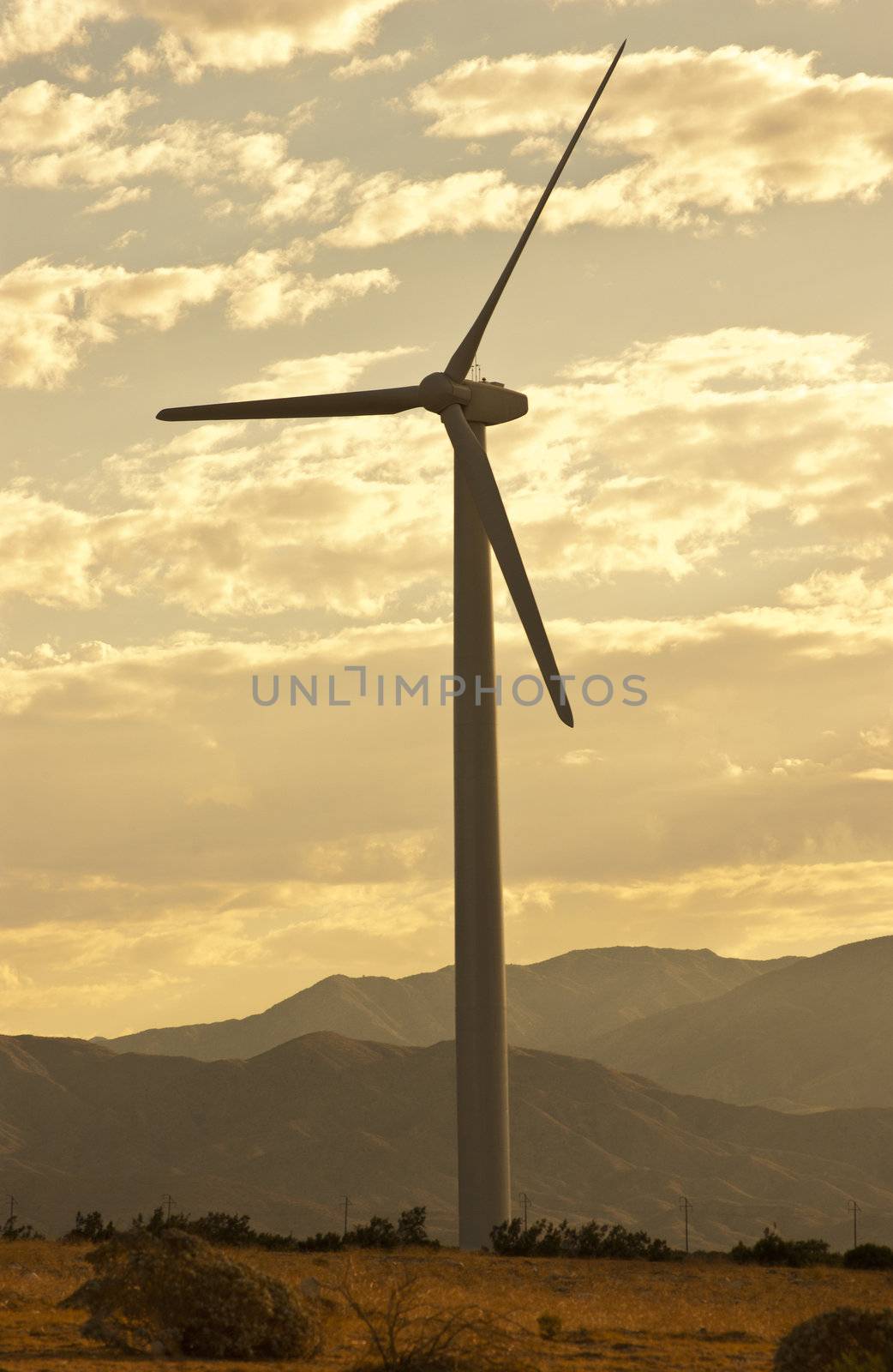 Wind Generators in the California Desert