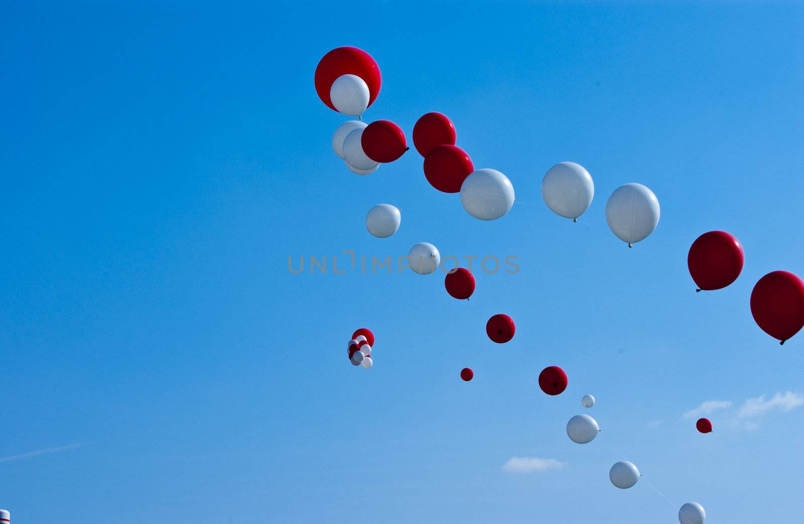 Balloons in the sky