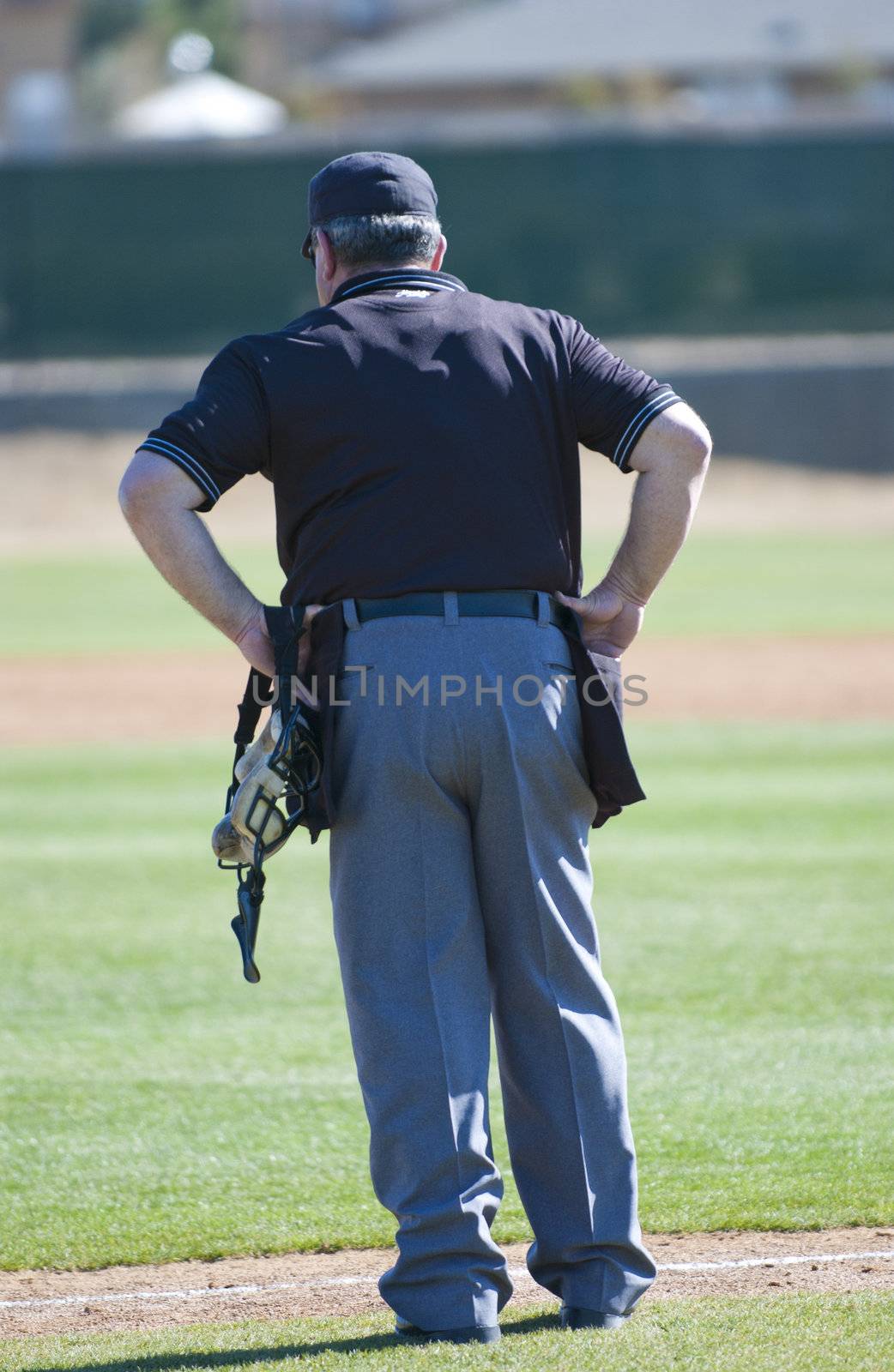 Baseball umpire