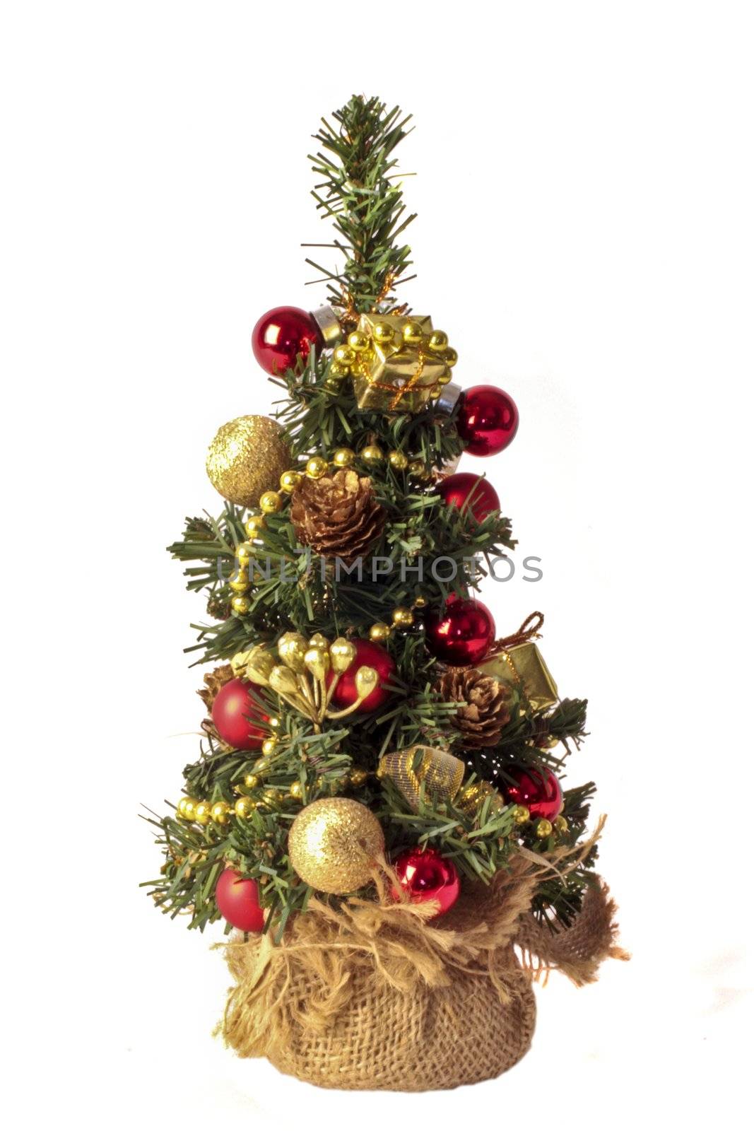 Cute little christmastree isolated on white by devy