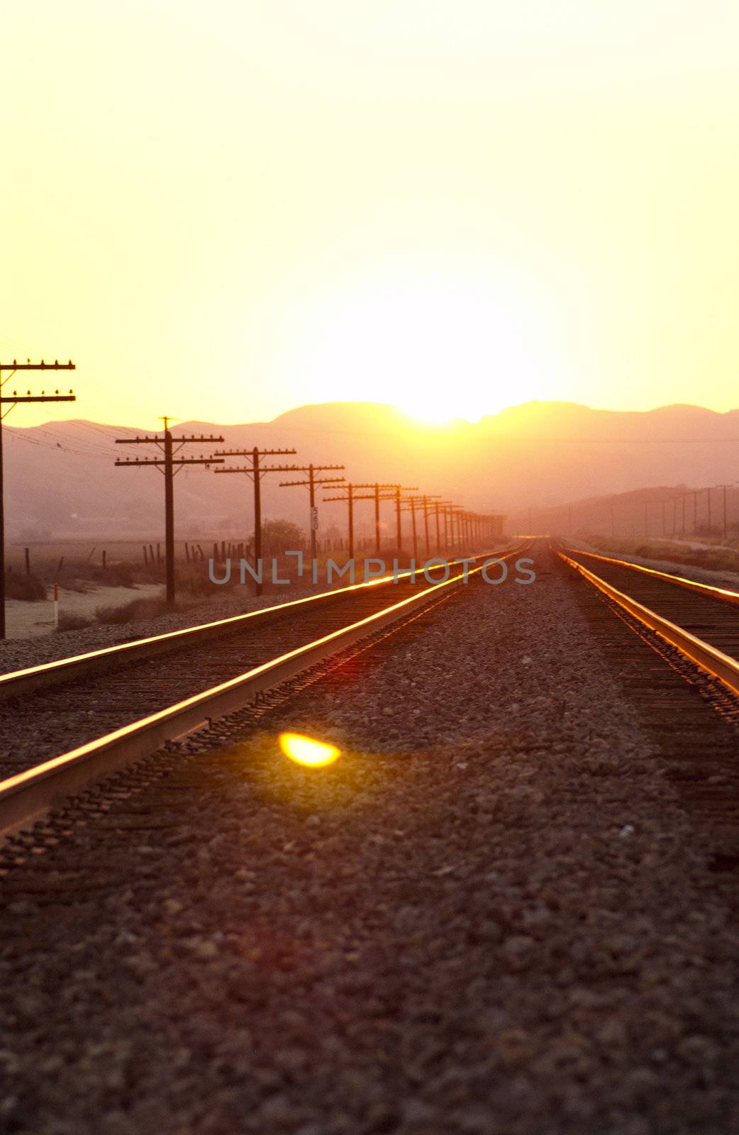 Train tracks into the sunset