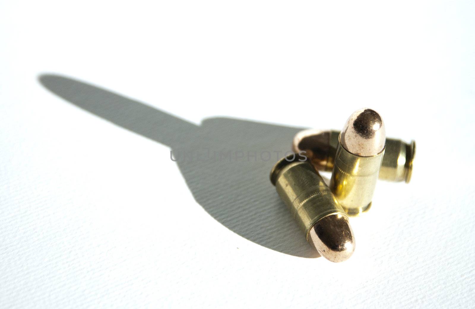 45 cal Bullets by Aurum