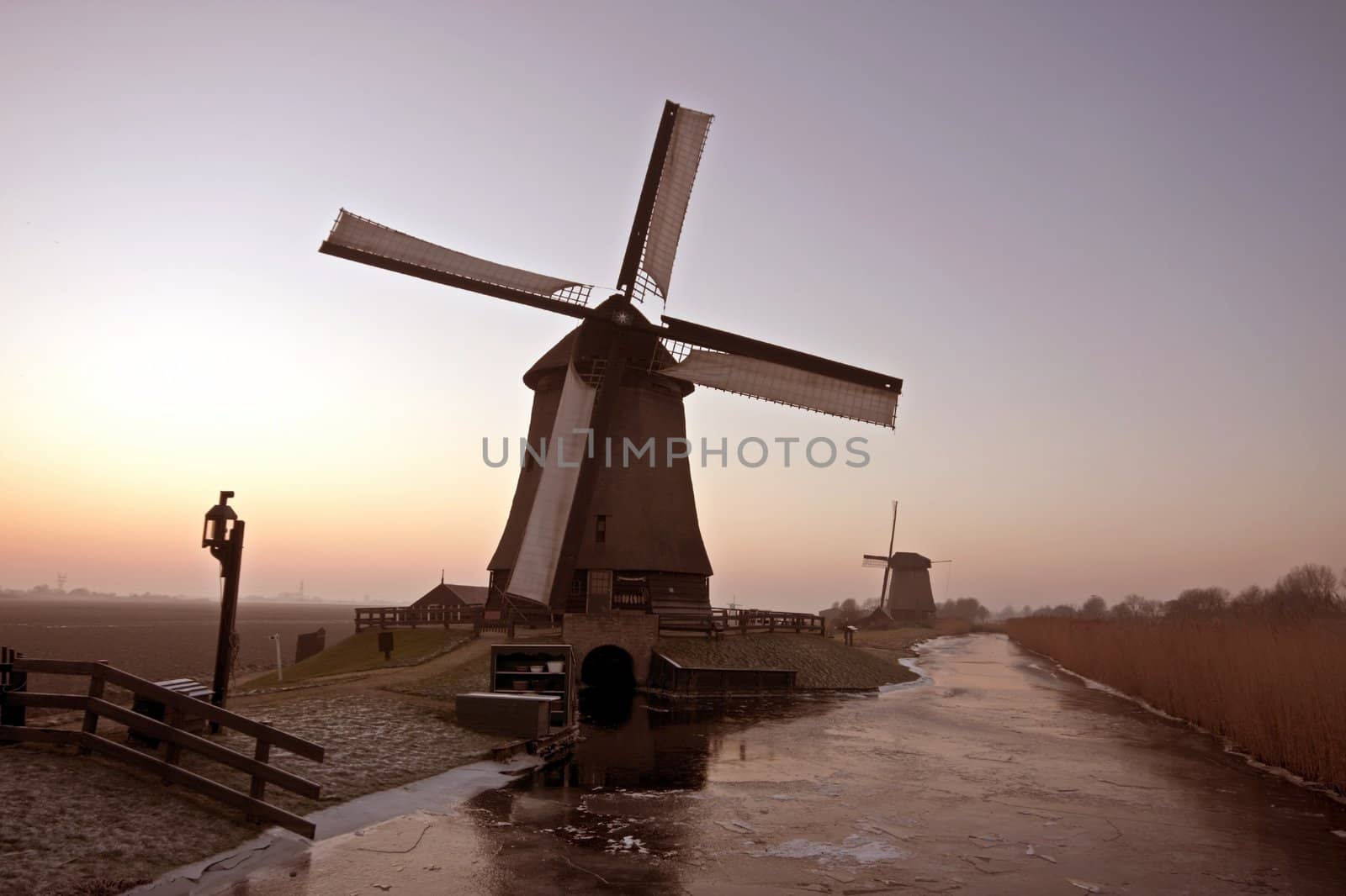 Windmills in wintertime in the Beemster in the Netherlands at twilight by devy