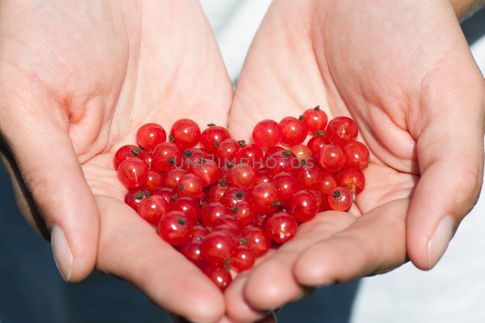 Hands holding currants in the shape of a heart