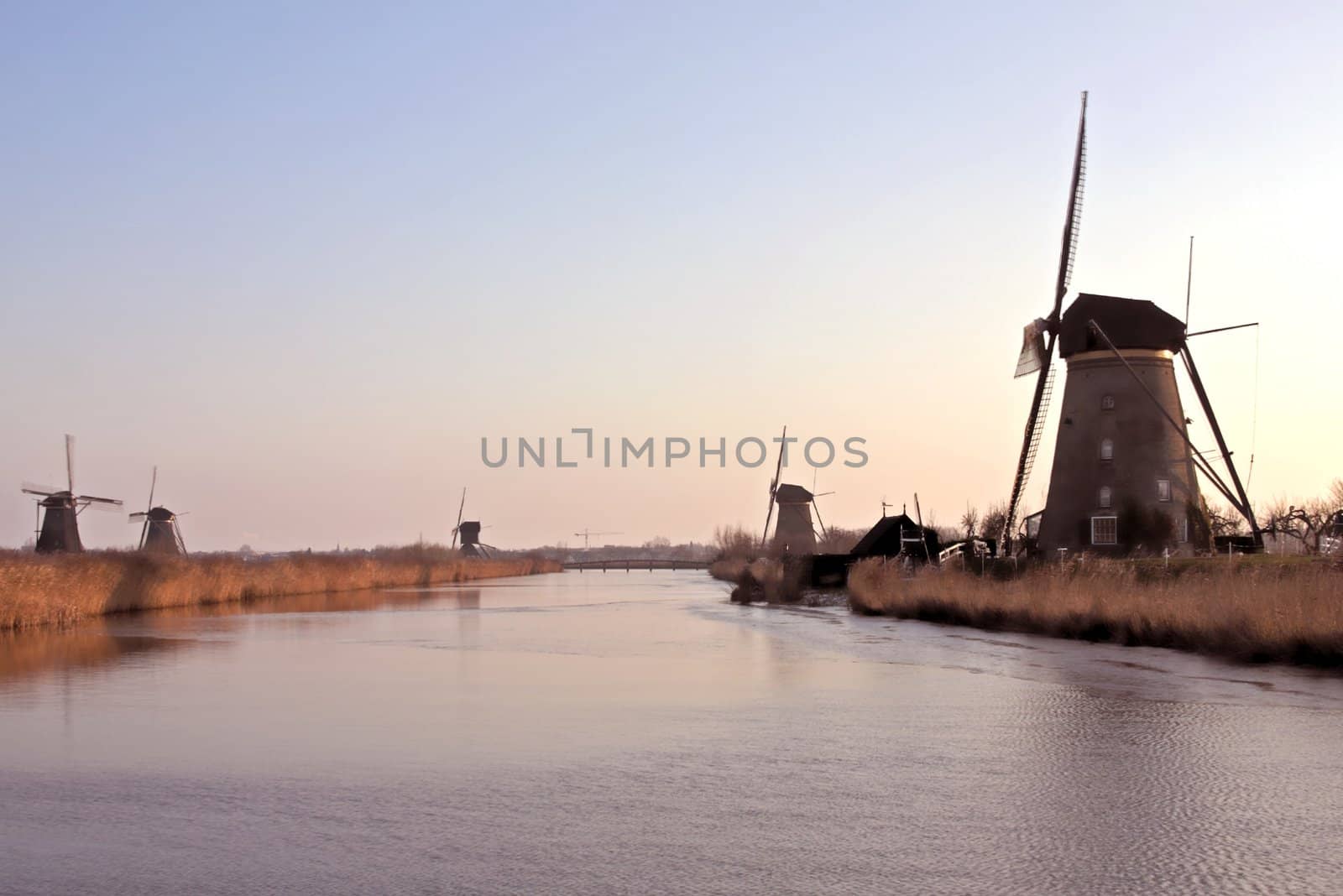 Windmills in wintertime at Kinderdijk in the Netherlands