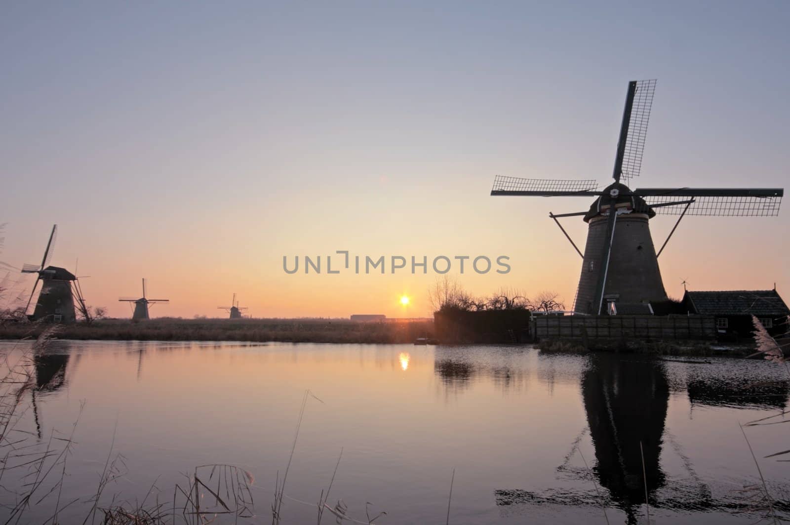 Windmills in wintertime at Kinderdijk in the Netherlands by devy