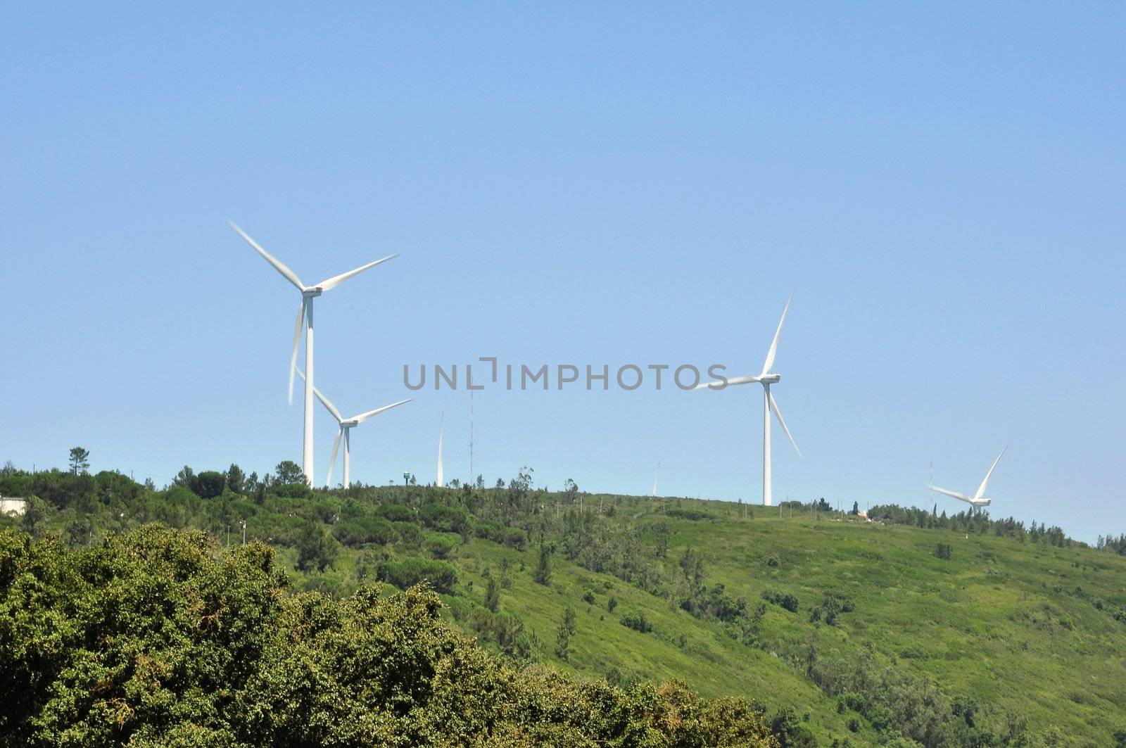 Pure energy, windpower 
 windturbines 
