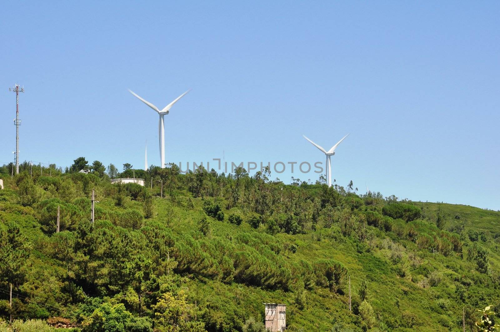 Wind power turbines  by vas25